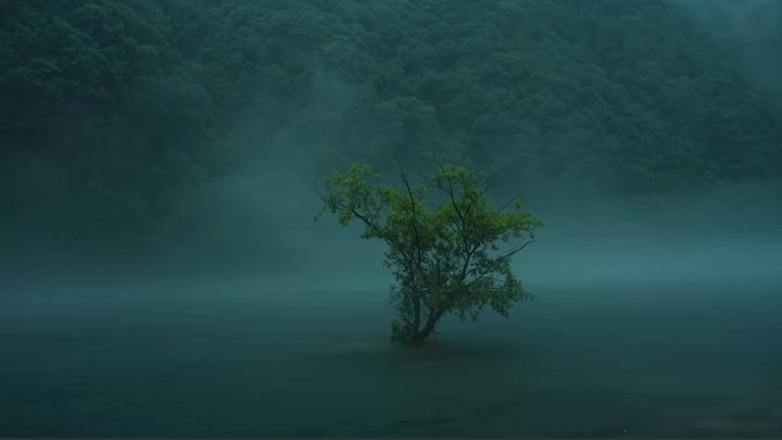 下马饮君酒，问君何所之？
君言不得意，归卧南山陲。
但去莫复问，白云无尽时。
—