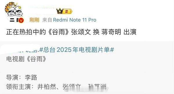 谷雨 蒋奇明  张颂文主演的新剧《谷雨》换人了，换成了蒋奇明 
