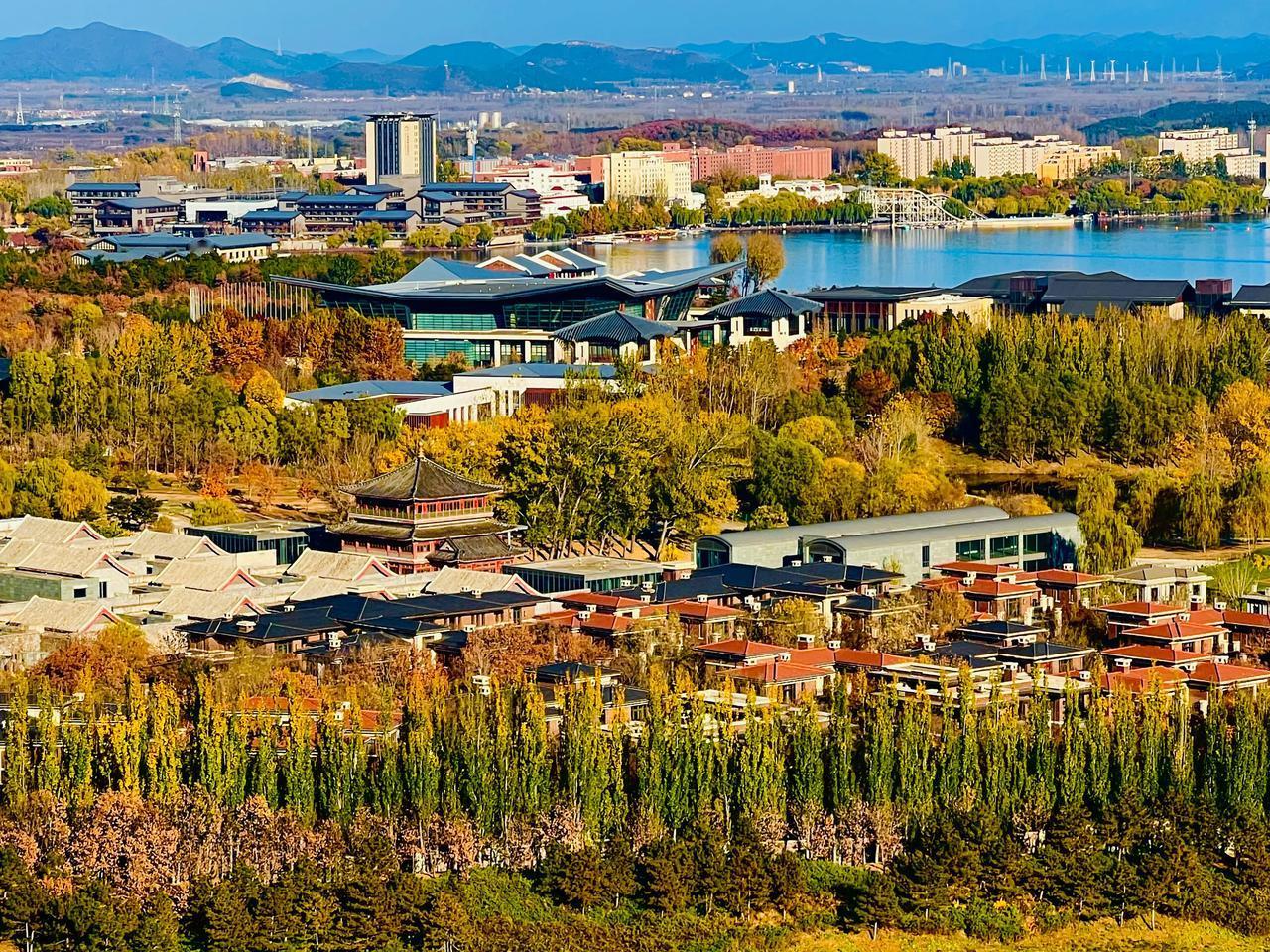 光
文/图  青寒

一束光照在脸上
成了一只鸟的膜拜对象

一树影子
躺进故事