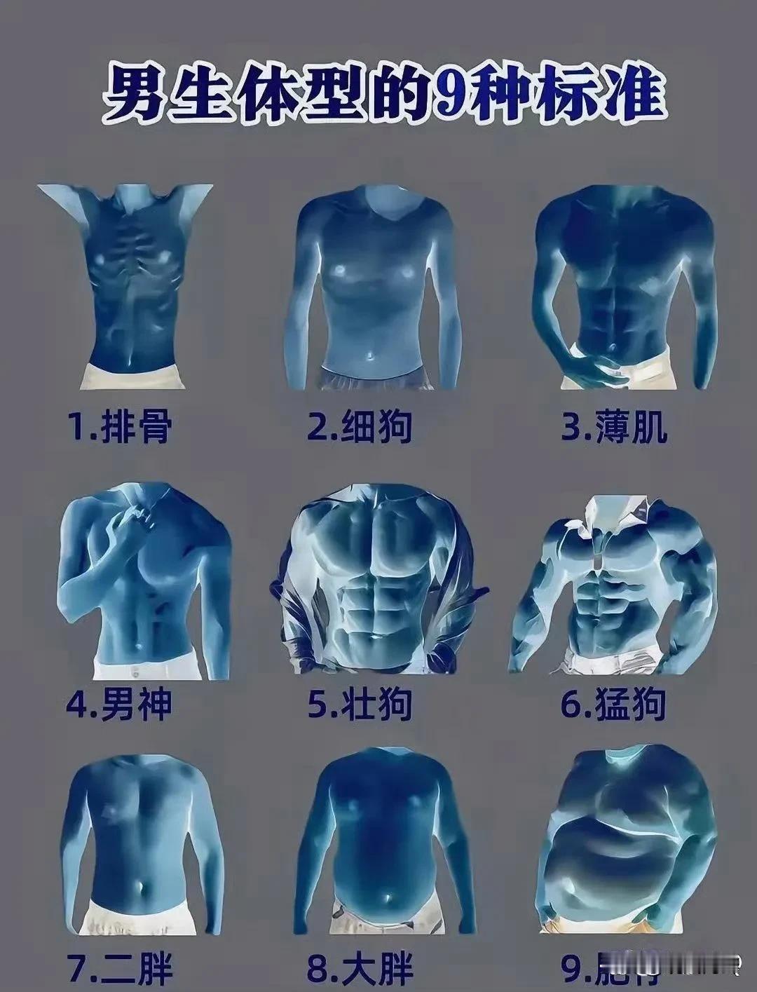 她喜欢哪种？你看起来像哪种？