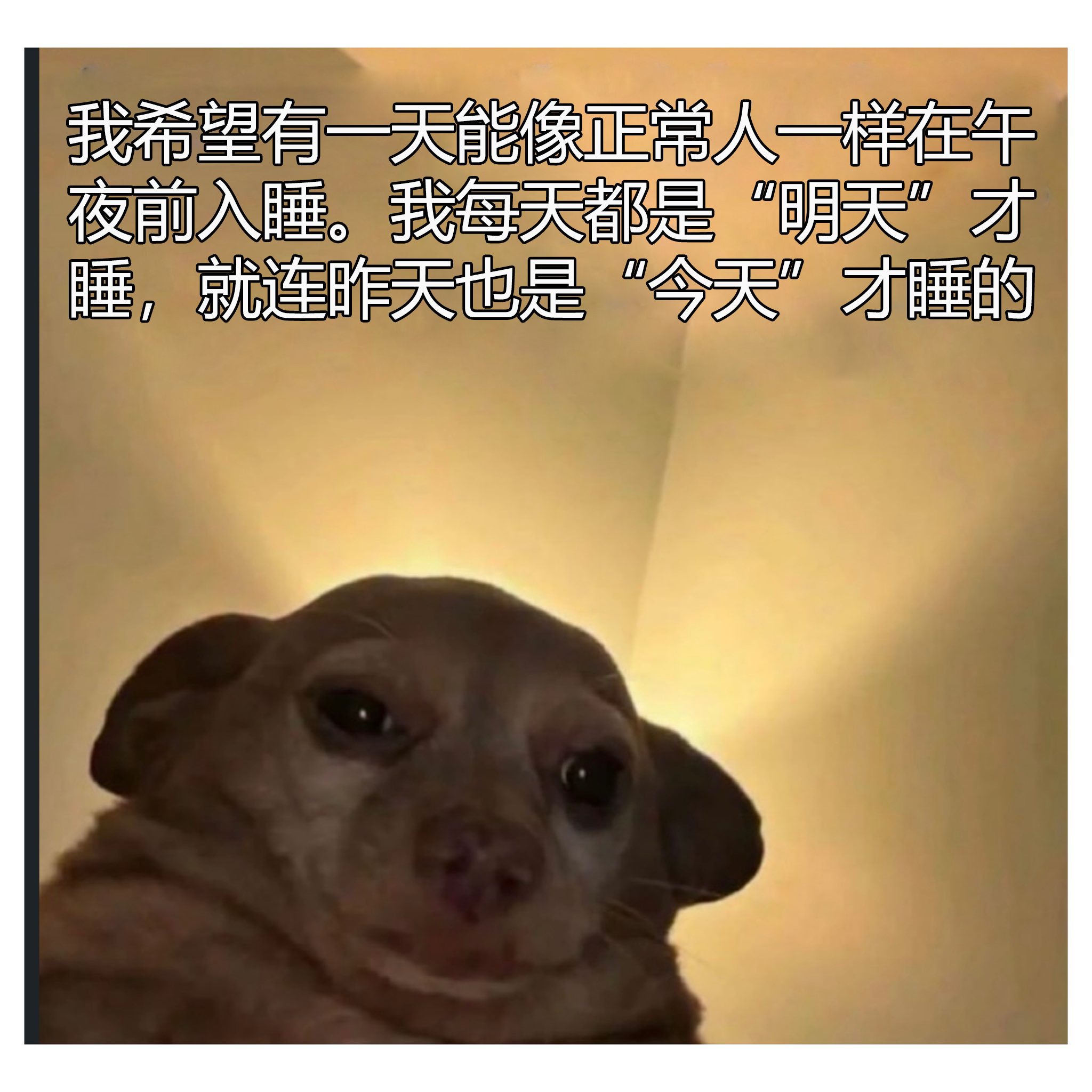 当你试图入睡时不小心睁开了眼睛，睡眠进度条就被重置为零 