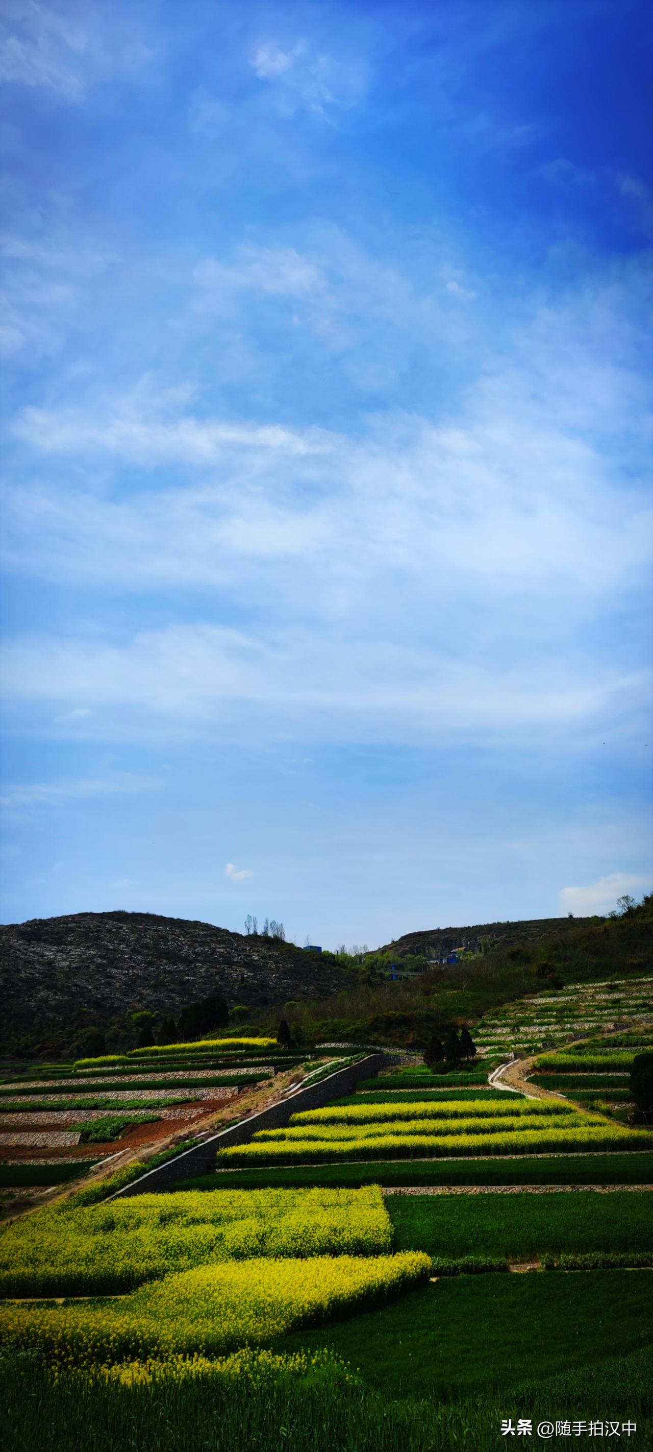 花开有信，人间春归。春天的田野，看看有多美！天朗气清，春和景明。山谷里的梯田错落