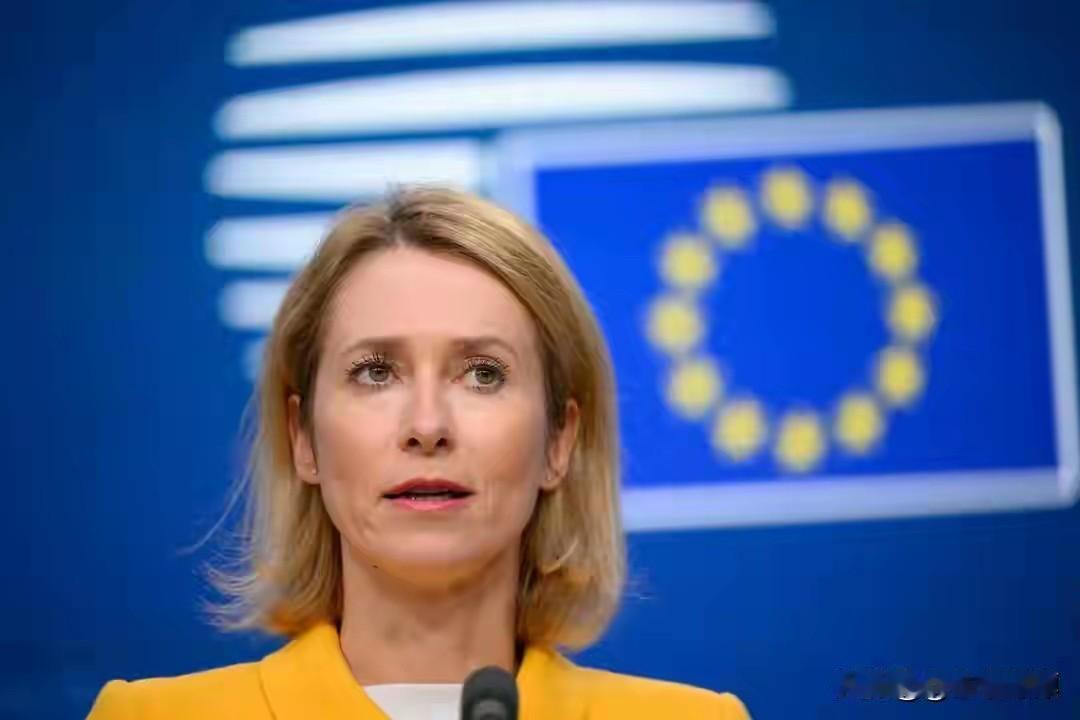 北约告急！美国甩锅、欧洲没钱，俄罗斯冷眼旁观内讧大戏
 
欧盟外交高官卡拉斯接连