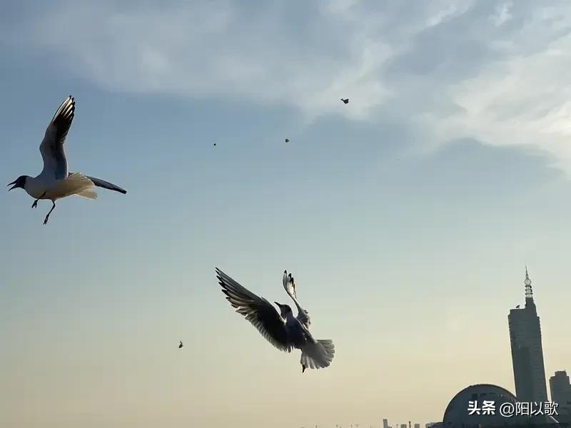 今天来和大家分享我的头条创作攻略以及我在头条是如何快速涨粉的。首先，热度是必须要