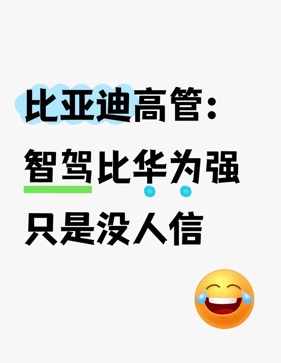 端到端时代，谁的数据多谁就强
比亚迪高管张卓的逻辑很直接：端到端大模型的核心是谁