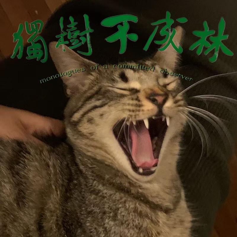 我正在听独树不成林的 《346-柏拉图如何评价妈宝男和粉丝对偶像以爱为名的占有？