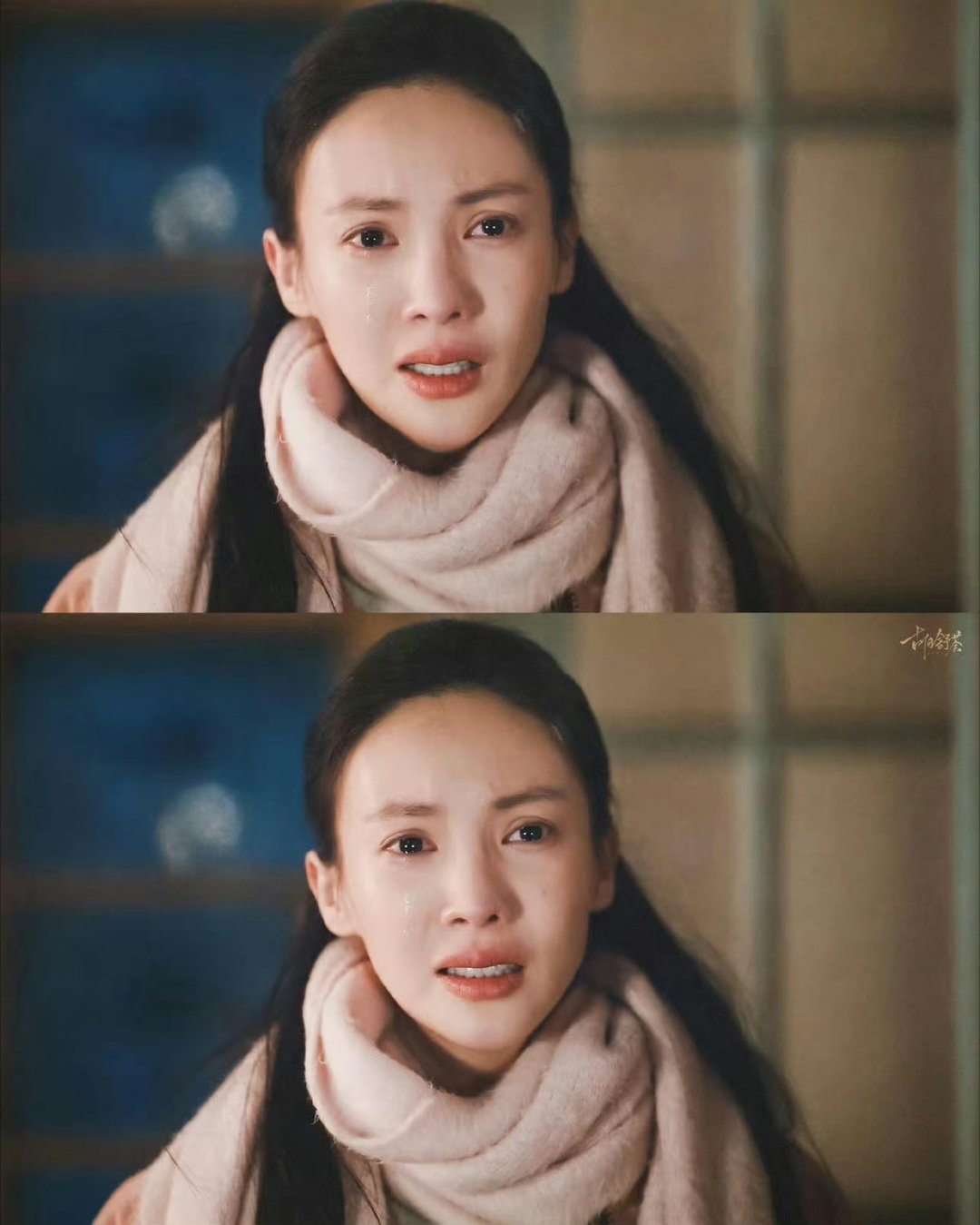 金晨不是流量吗 ​​​