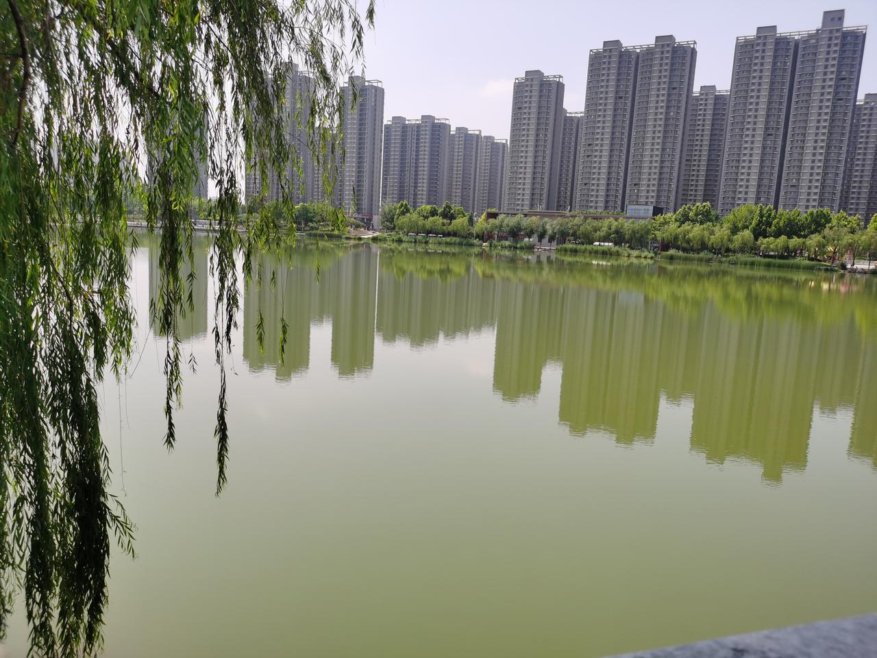 定国湖，
休闲好去处。
想跑步，
有环湖小路；
想读书，
有馨香书坊；
想喝茶，