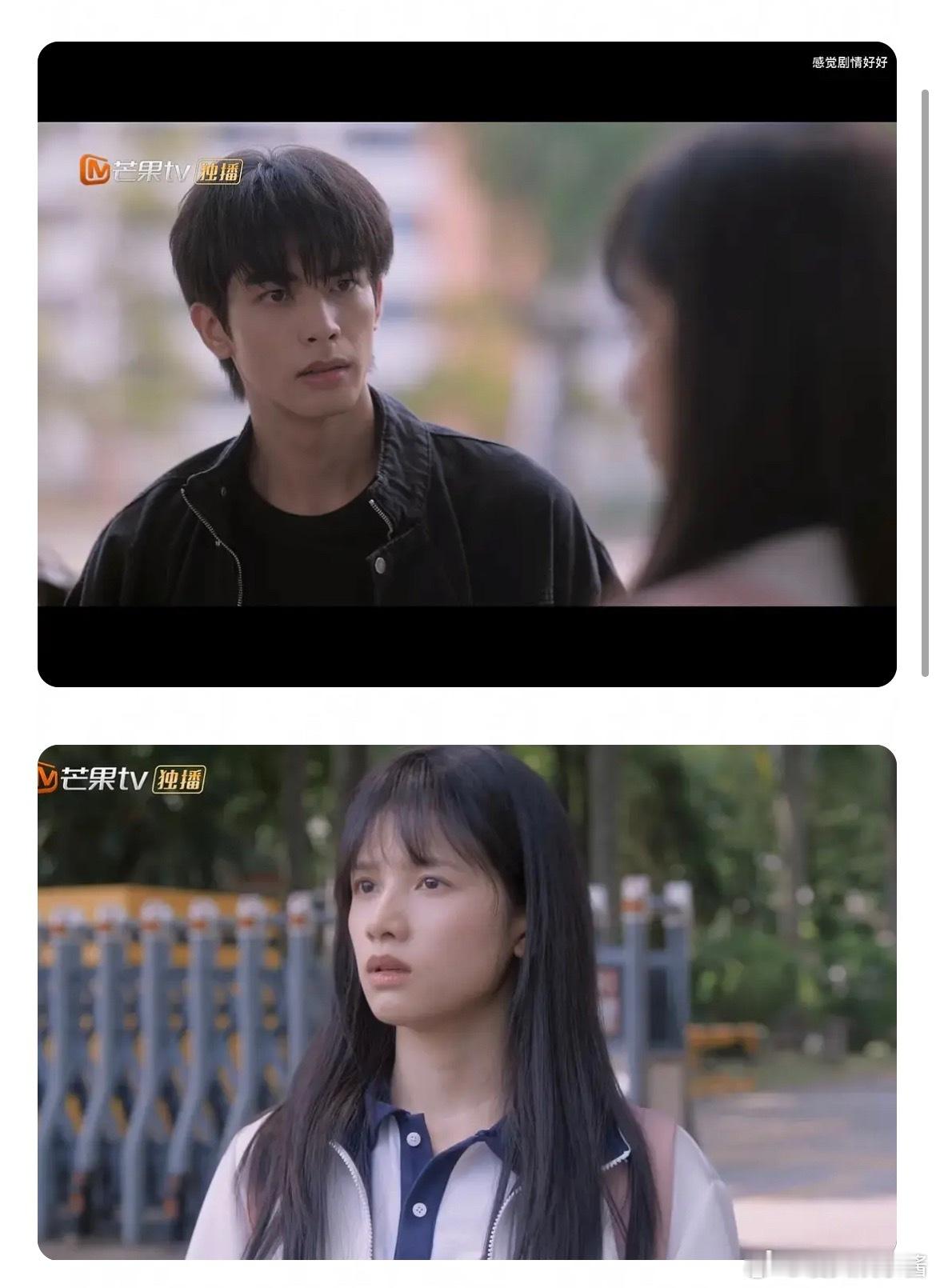 宋威龙、张婧仪的颜值在电视剧都有点不上镜，走红毯站台什么的还行 