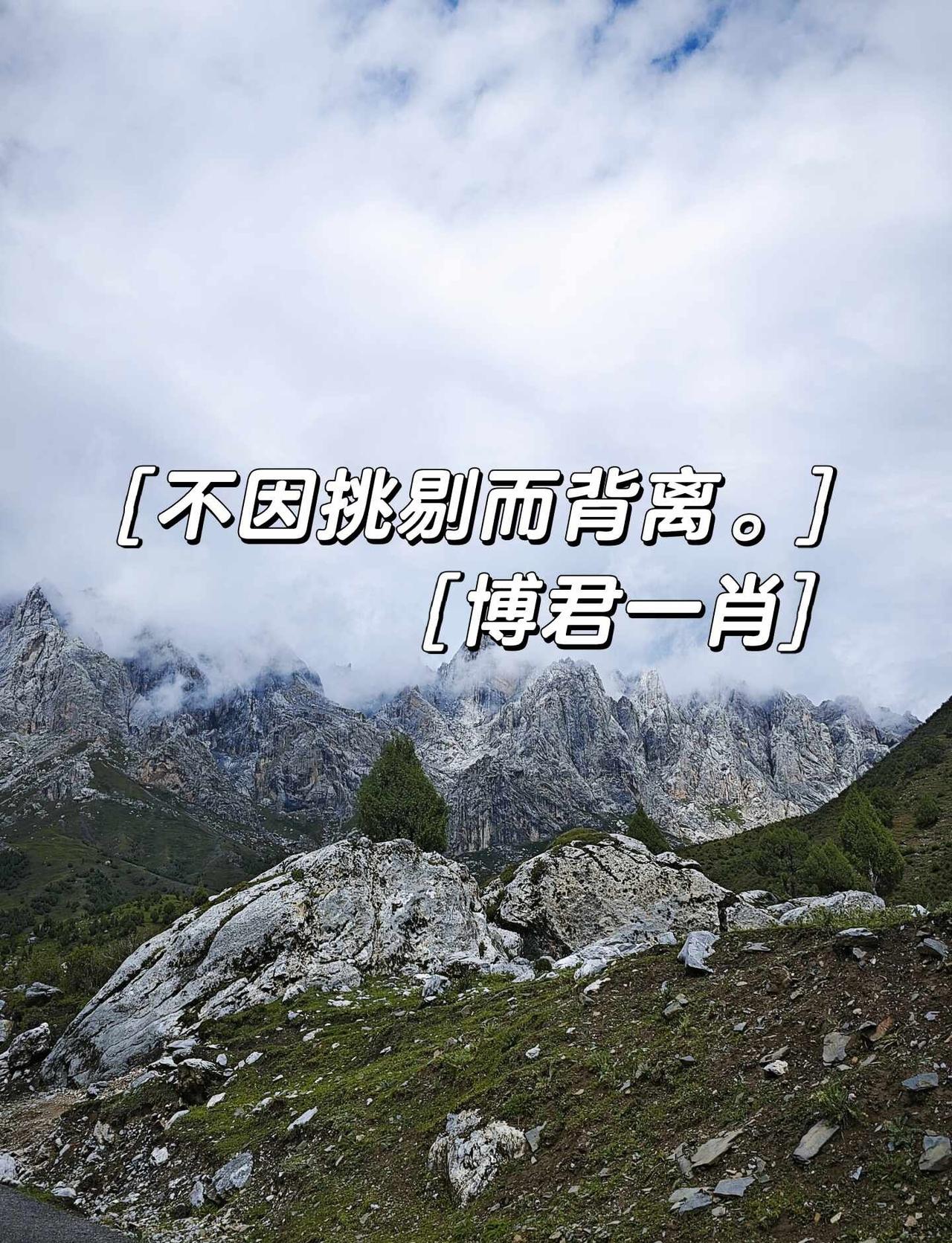 不因挑剔而背离。
博君一肖BJYX