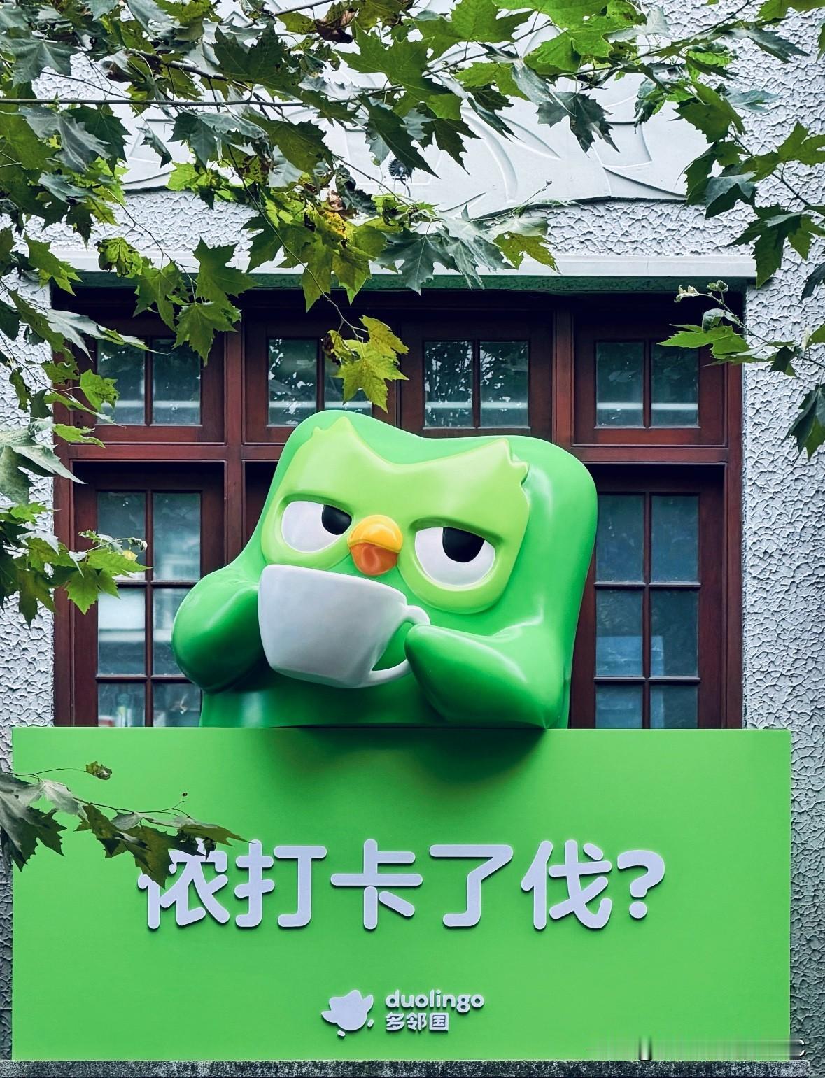 绿鸟🦜