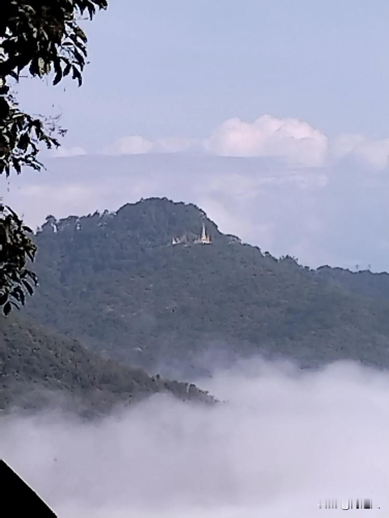 云南茶山一景迈山云海