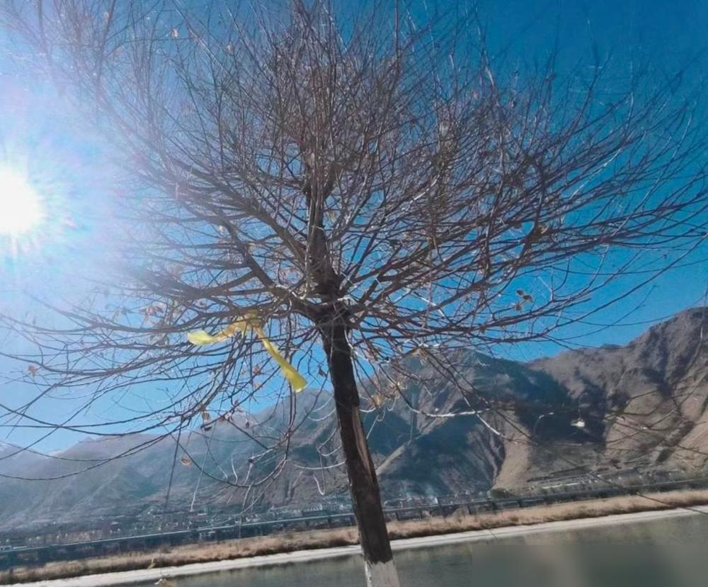 我们这是原来某管理局的保卫科经警队改制，局变成集团公司，经警队撤销，一部分关系较