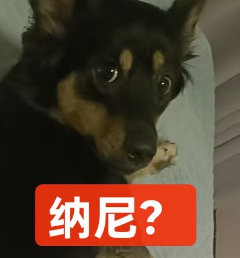 纳尼 ​​​