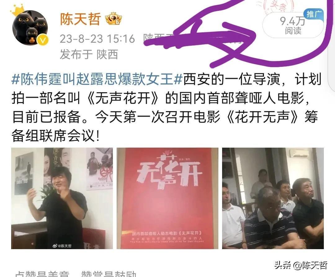 去年八月份兄长在西安搞了个《花开无声》电影（院线）筹备仪式，天哲当时还激情澎湃的
