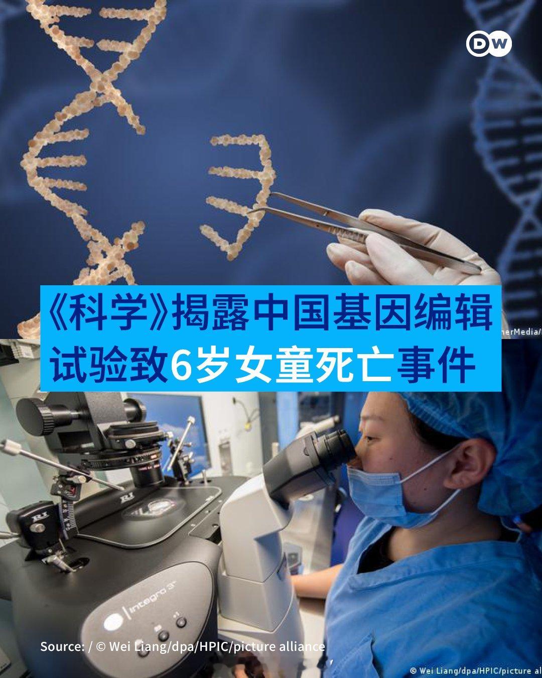 针对一名六岁女童接受基因编辑疗法后死亡（她的病并不直接危及生命）、仇子龙研究团队