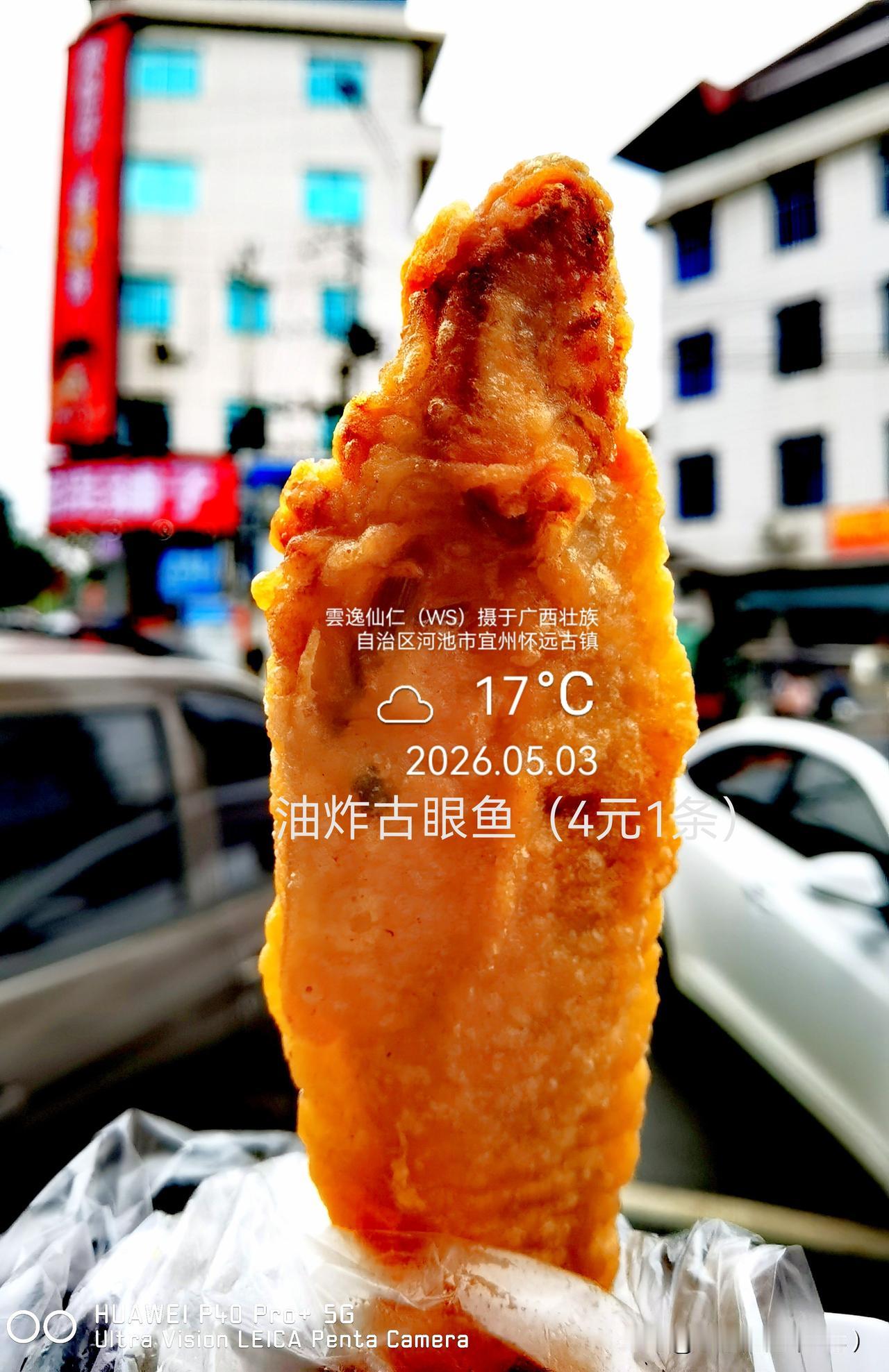 月居生活记录（9636）广西壮族自治区河池市（73）品尝小吃29：油炸古眼鱼（4
