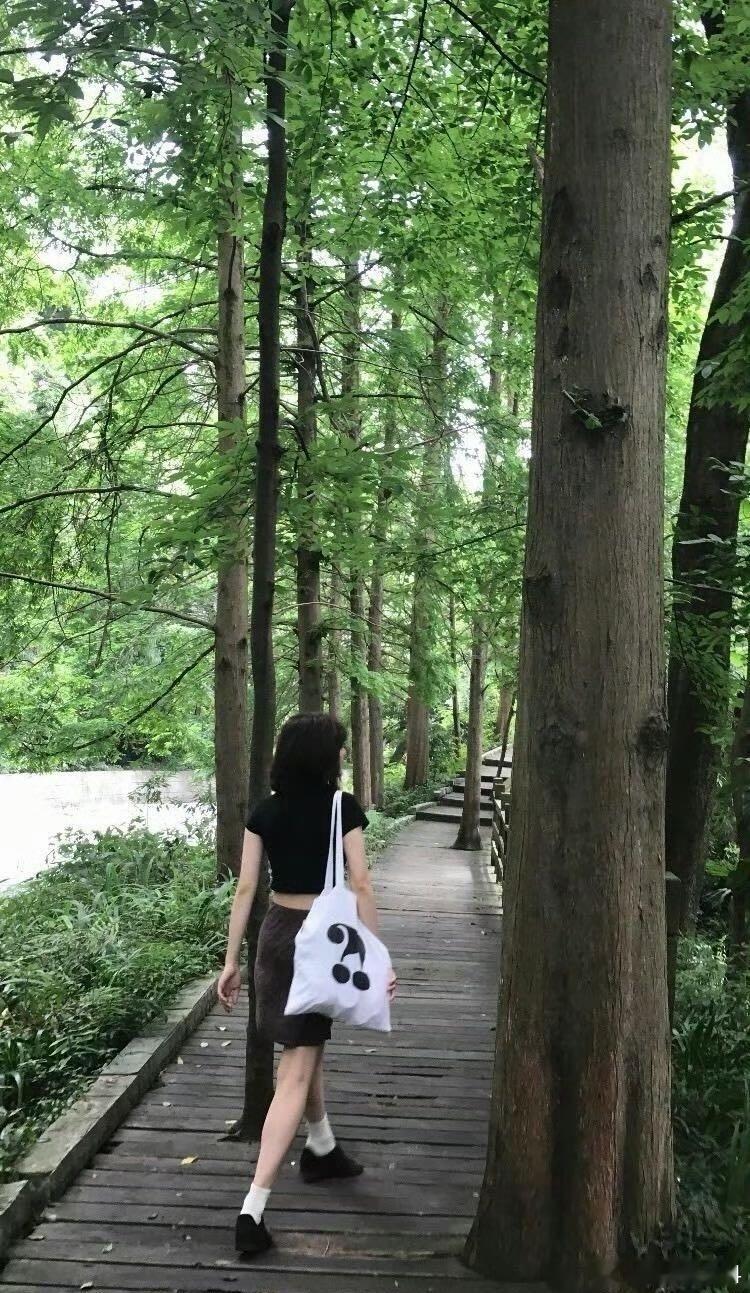 文淇 文淇 坚定的爱夏主义者 