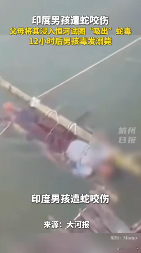 “离了个大谱！”近日，印度，一14岁男孩被毒蛇咬伤，父母并没有送去医院，而是听信