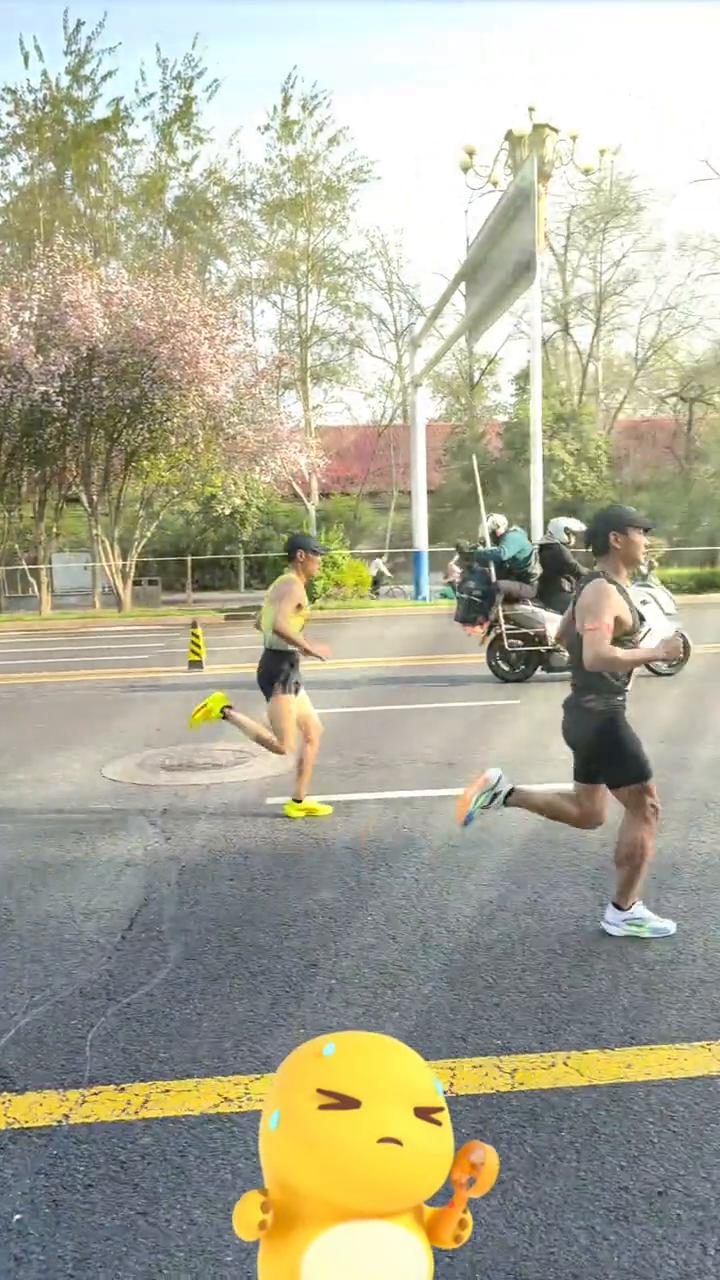 高考犹如马拉松。
高考和马拉松都是一场关于坚持、心态和节奏的较量，只要你能在那段