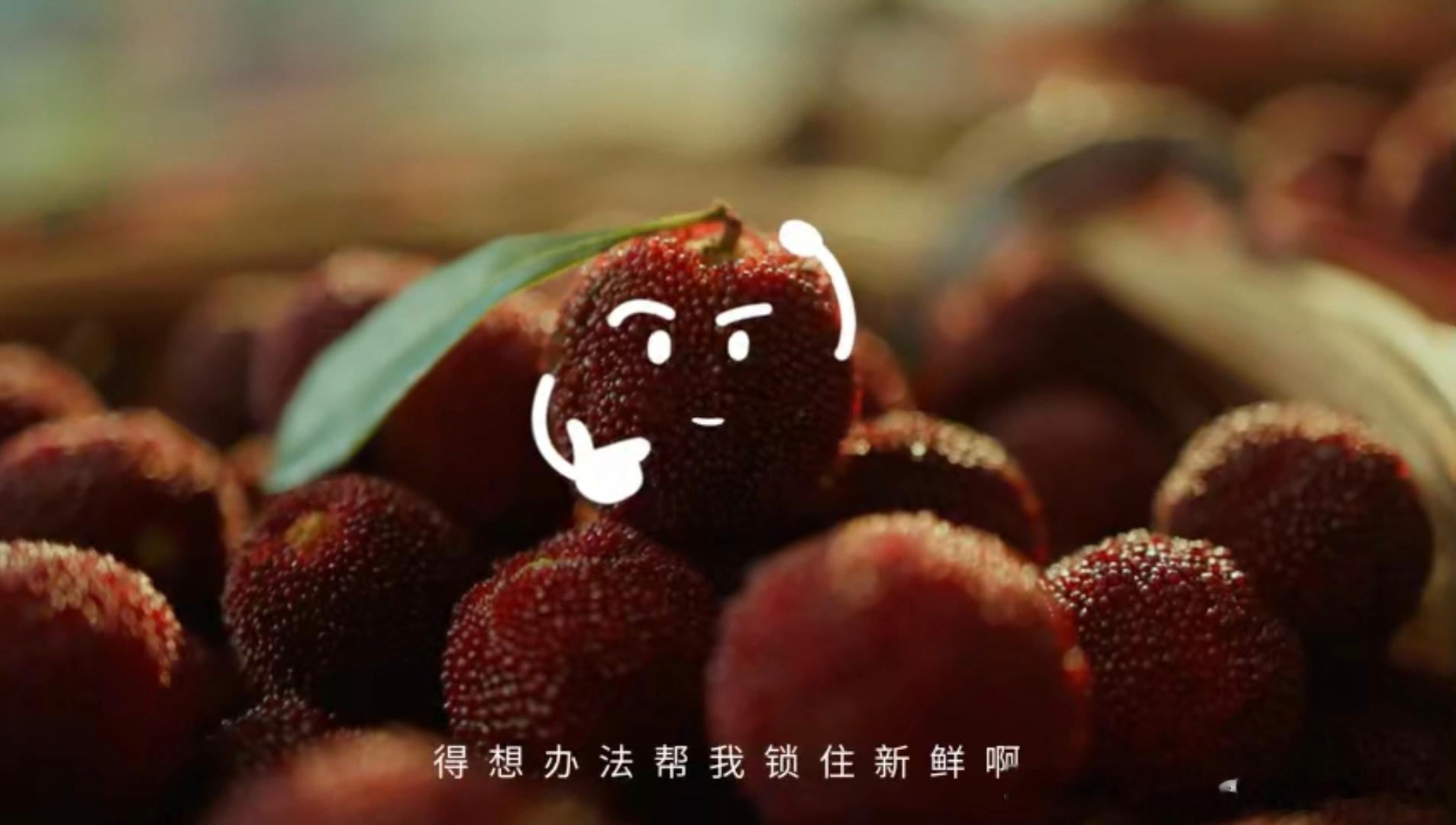 原来杨梅是这么努力的水果果农凌晨上山采摘，经数百项检测，全程低温锁鲜无防腐剂，当