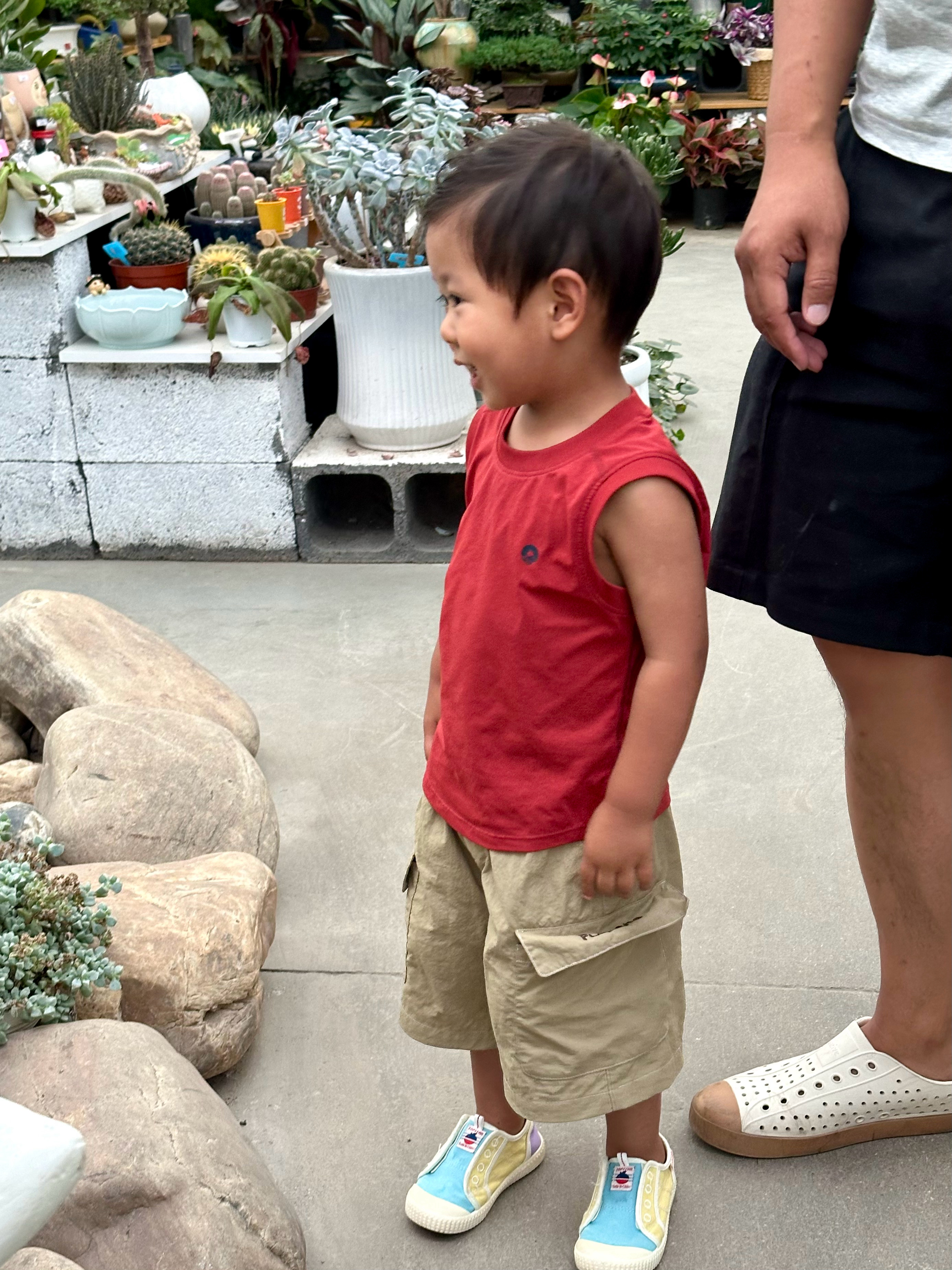 欣赏仙人掌🌵 
