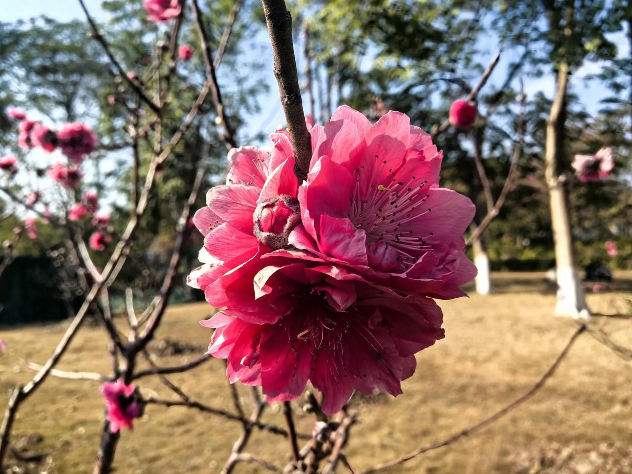 新的一年孩子们学习进步，长辈们身体健康，就是最大的幸福！股市如能长牛，更是锦上添