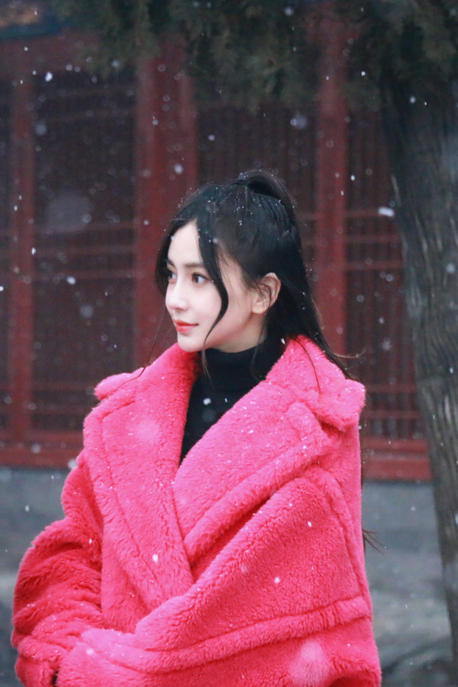 为angelababy守护星愿 ⛄️星愿生日企划 今日大寒❄️大家的ip有下雪吗