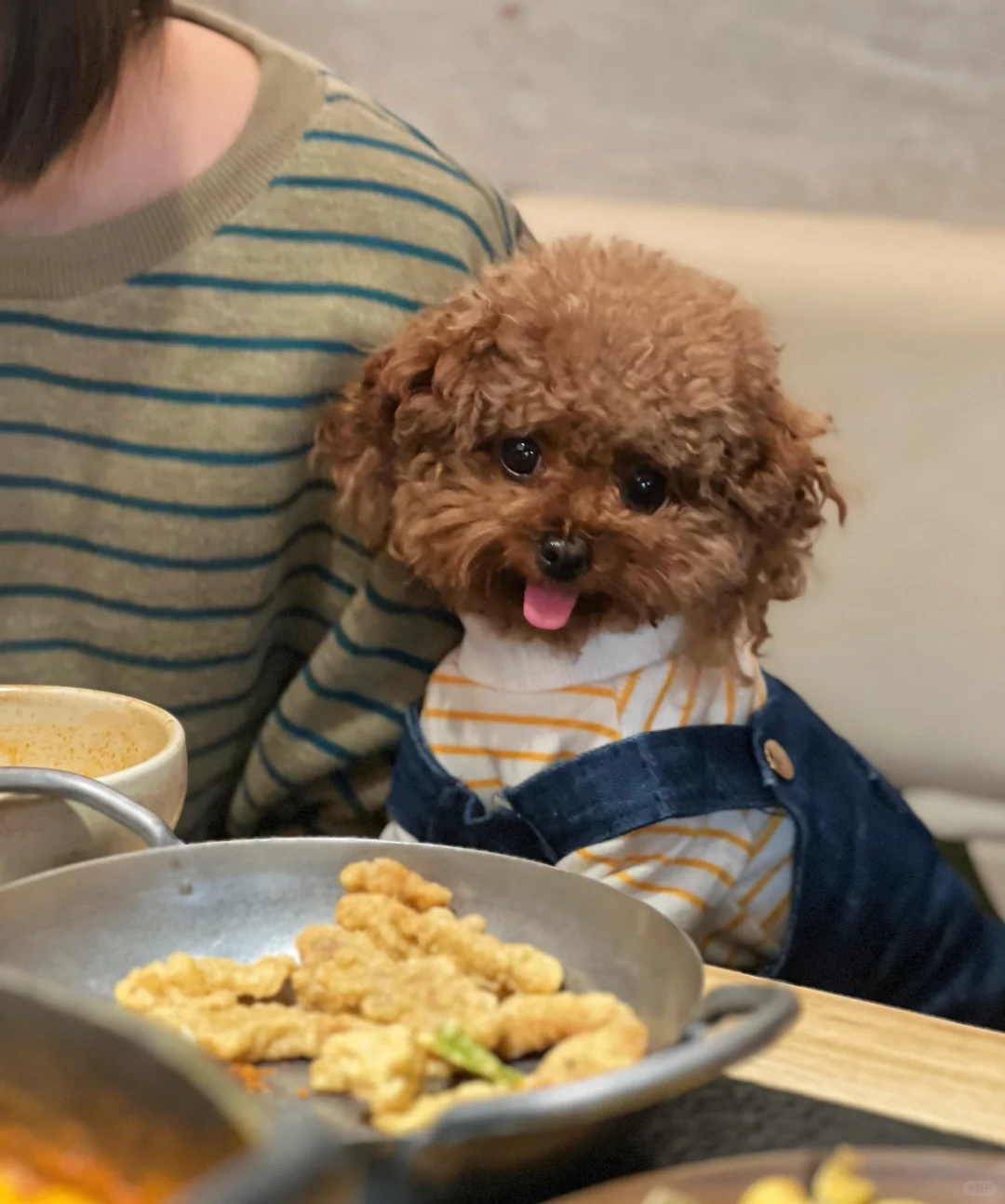 小狗不能吃火锅哦～