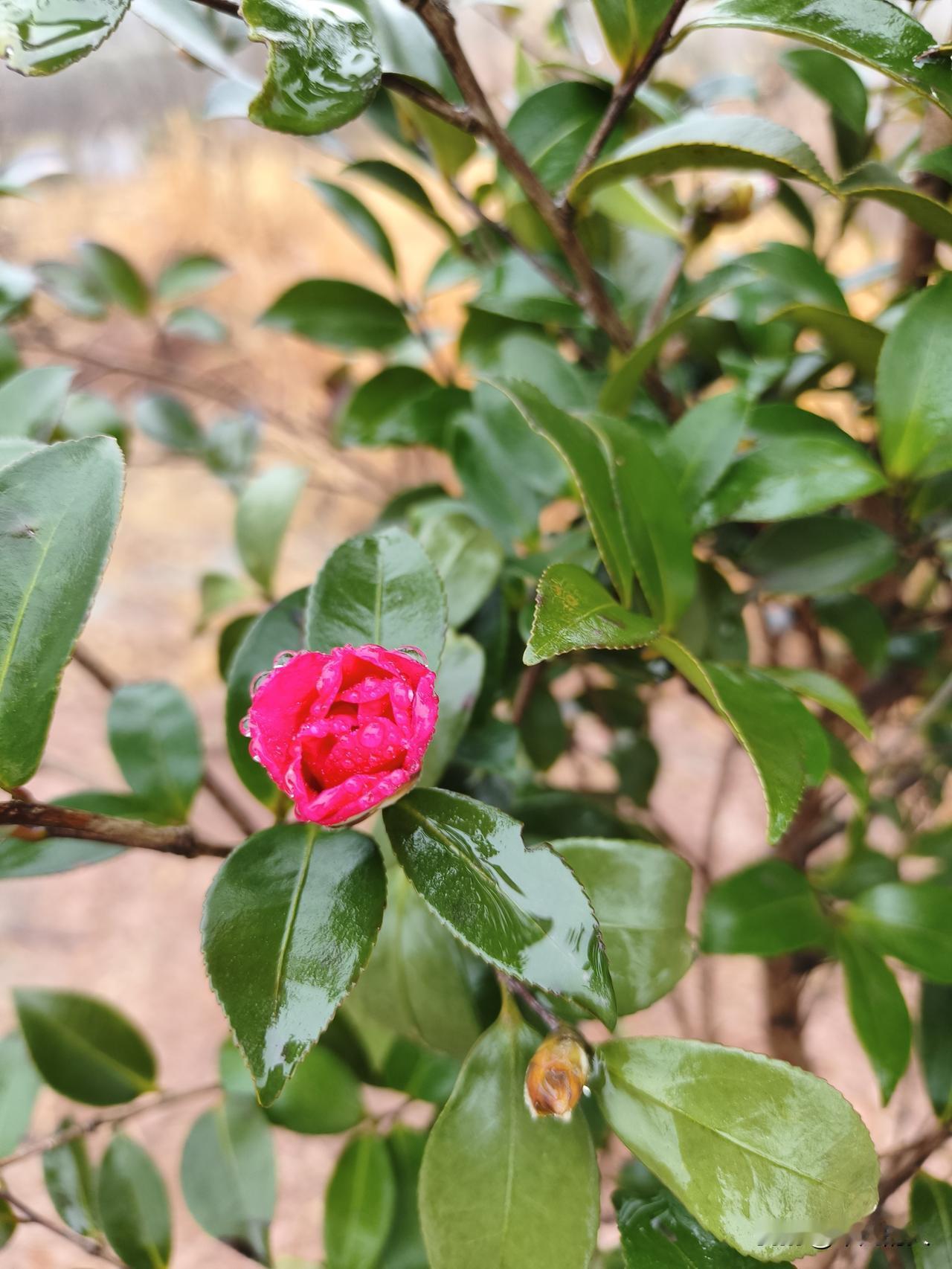 正常要睡几个小时？
1岁：18个小时
2岁：13 - 14个小时
3岁：12个小