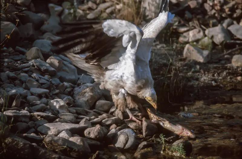 性格会决定人生吗？我看未必。有人天生内向，却能成为销售冠军；有人外向活泼，却一辈