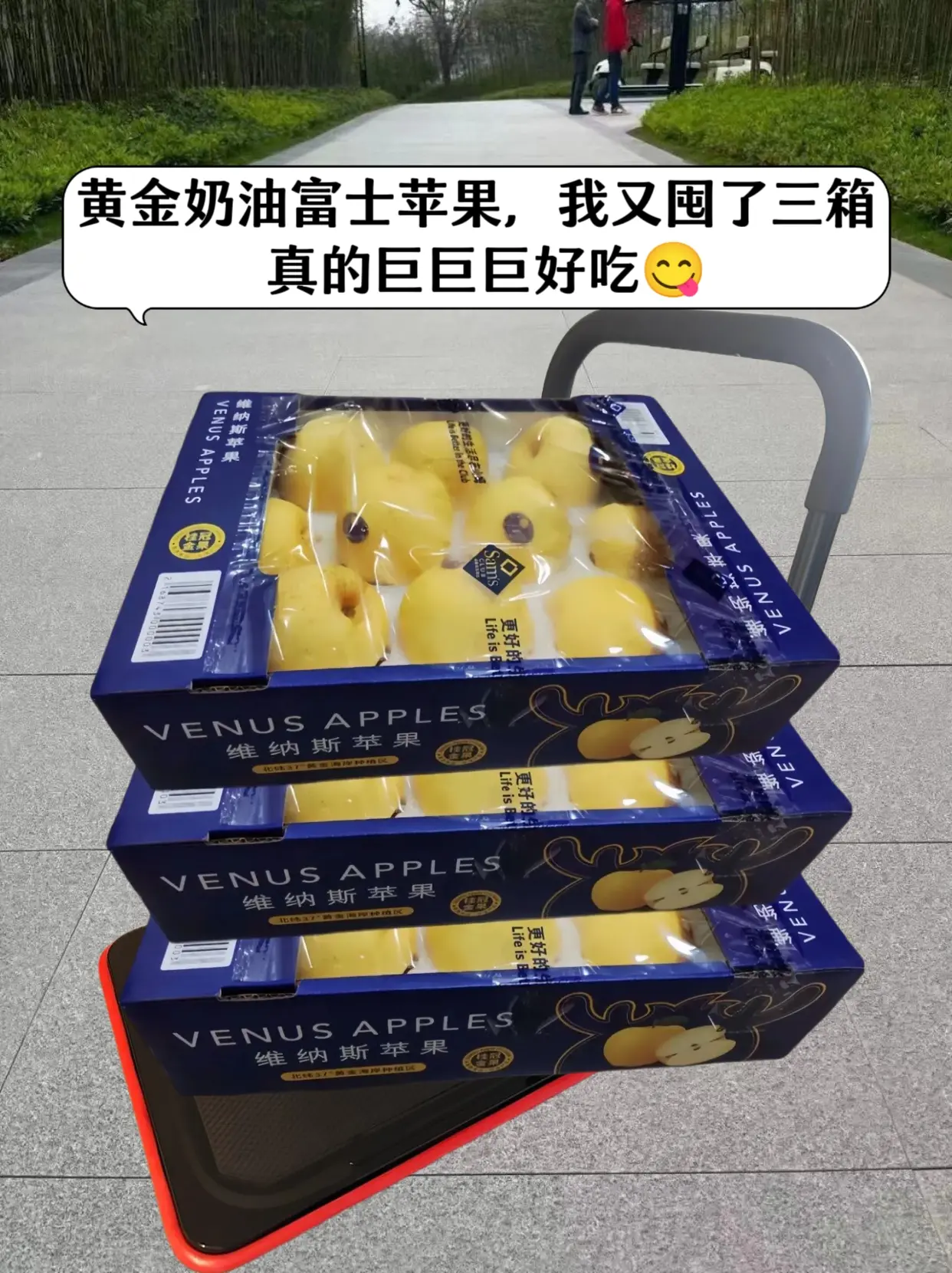 家人们，这个黄金奶油富士苹果，真的巨香甜，巨好吃！我还是头一回吃这种苹...