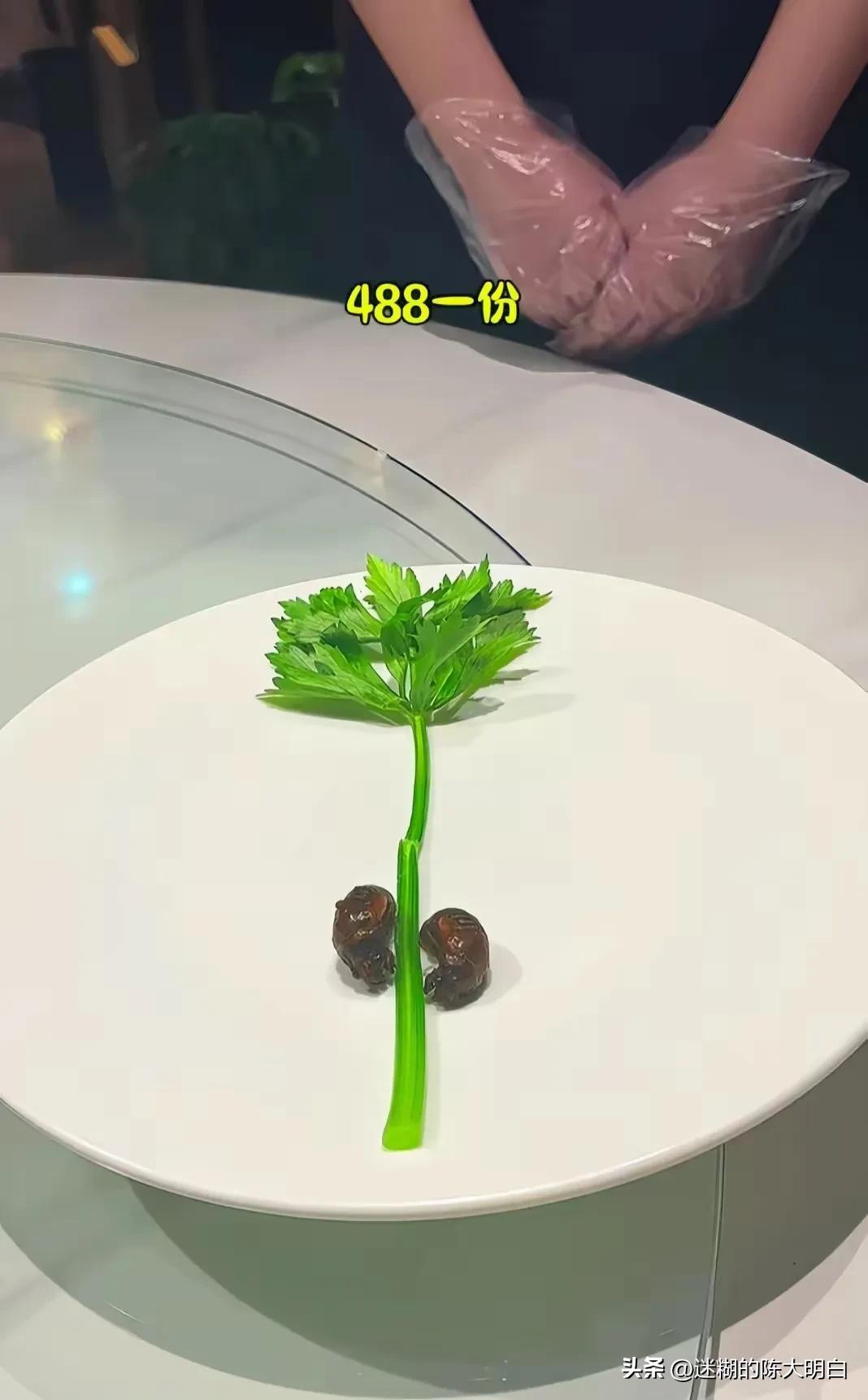 在北京吃这样一份所谓的“金蝉抱青龙”，要花488元，你觉得咋样？