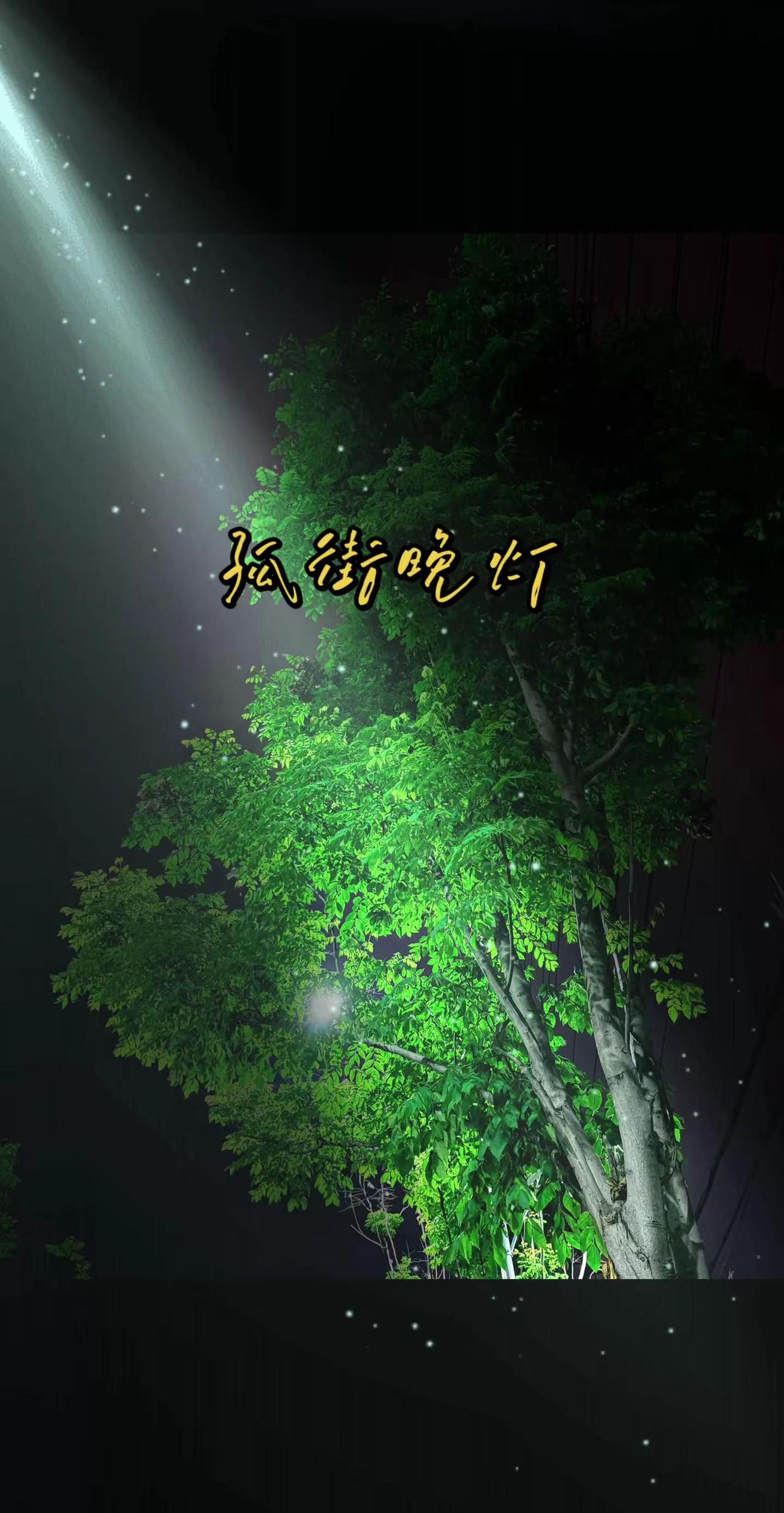 好听的歌曲静静听