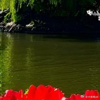 风景很好 