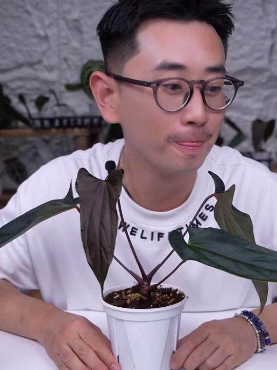 最近很开心！