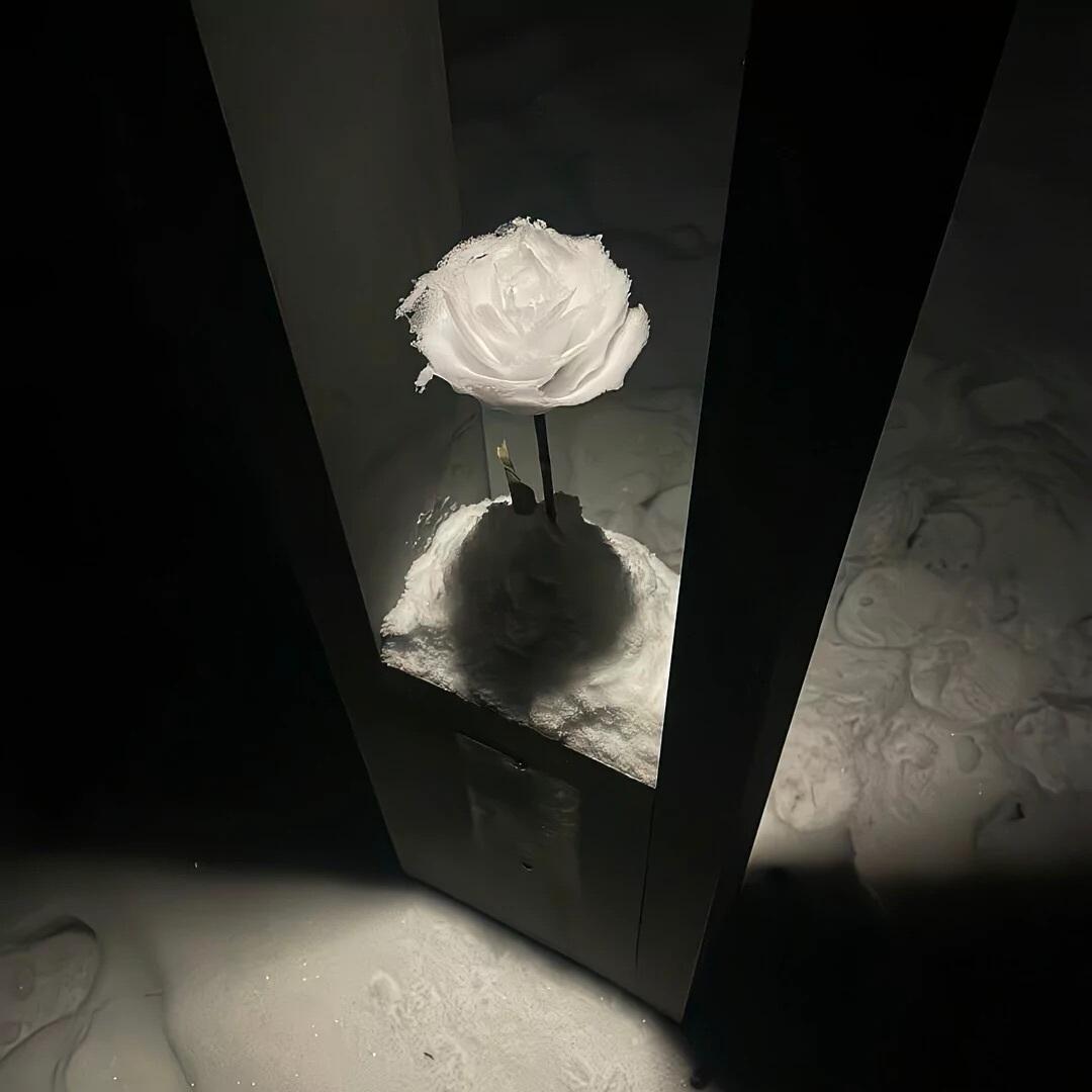 𝐒𝐇𝐀𝐑𝐄 张元英头像背景图搭配 ꒰🍸⤾·˚🖤 ·☕️꒰ 