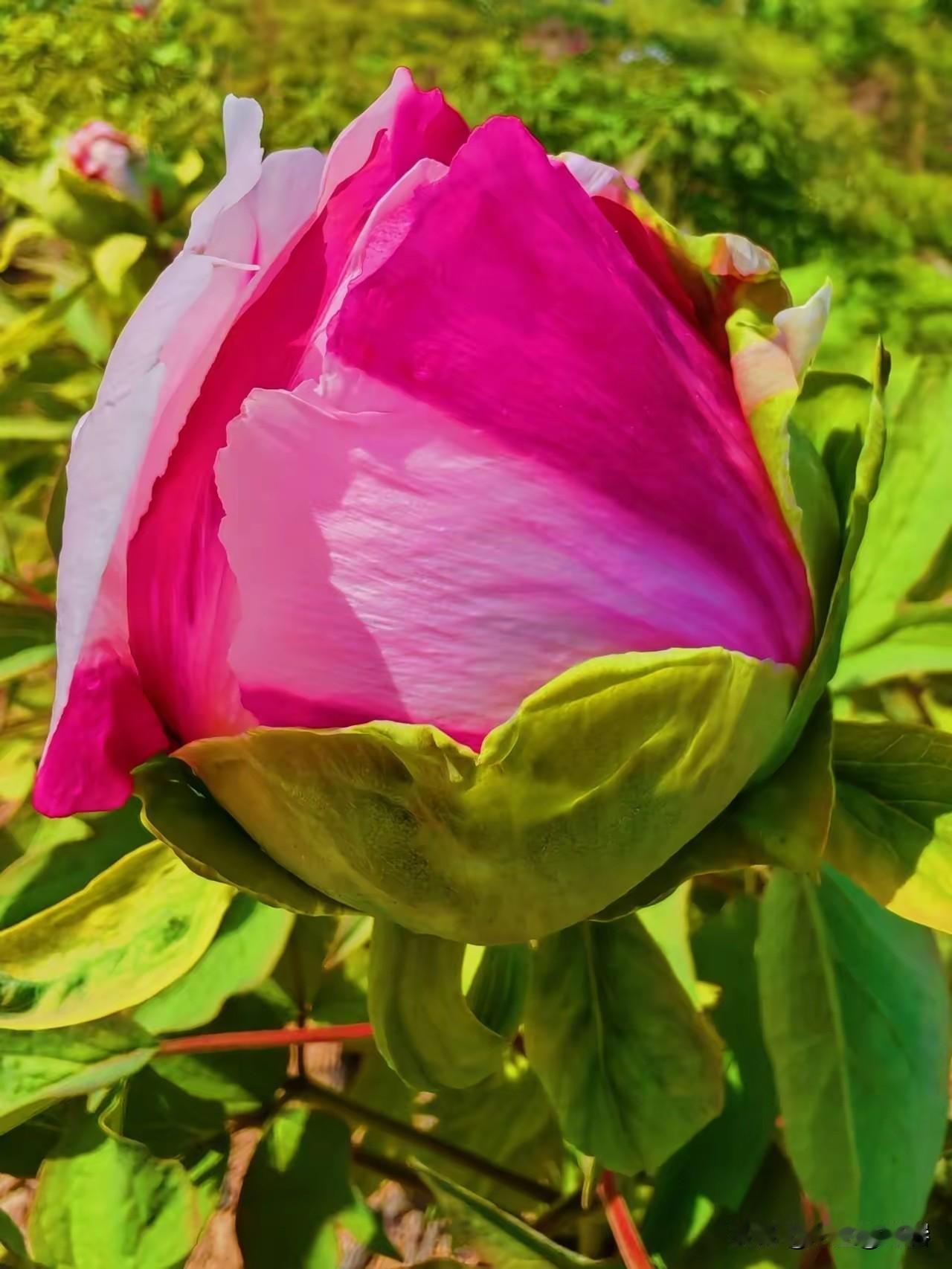 做个通透的公婆：少说多做，温和可亲，家庭才幸福

1. 不插手小家庭决策，是最大