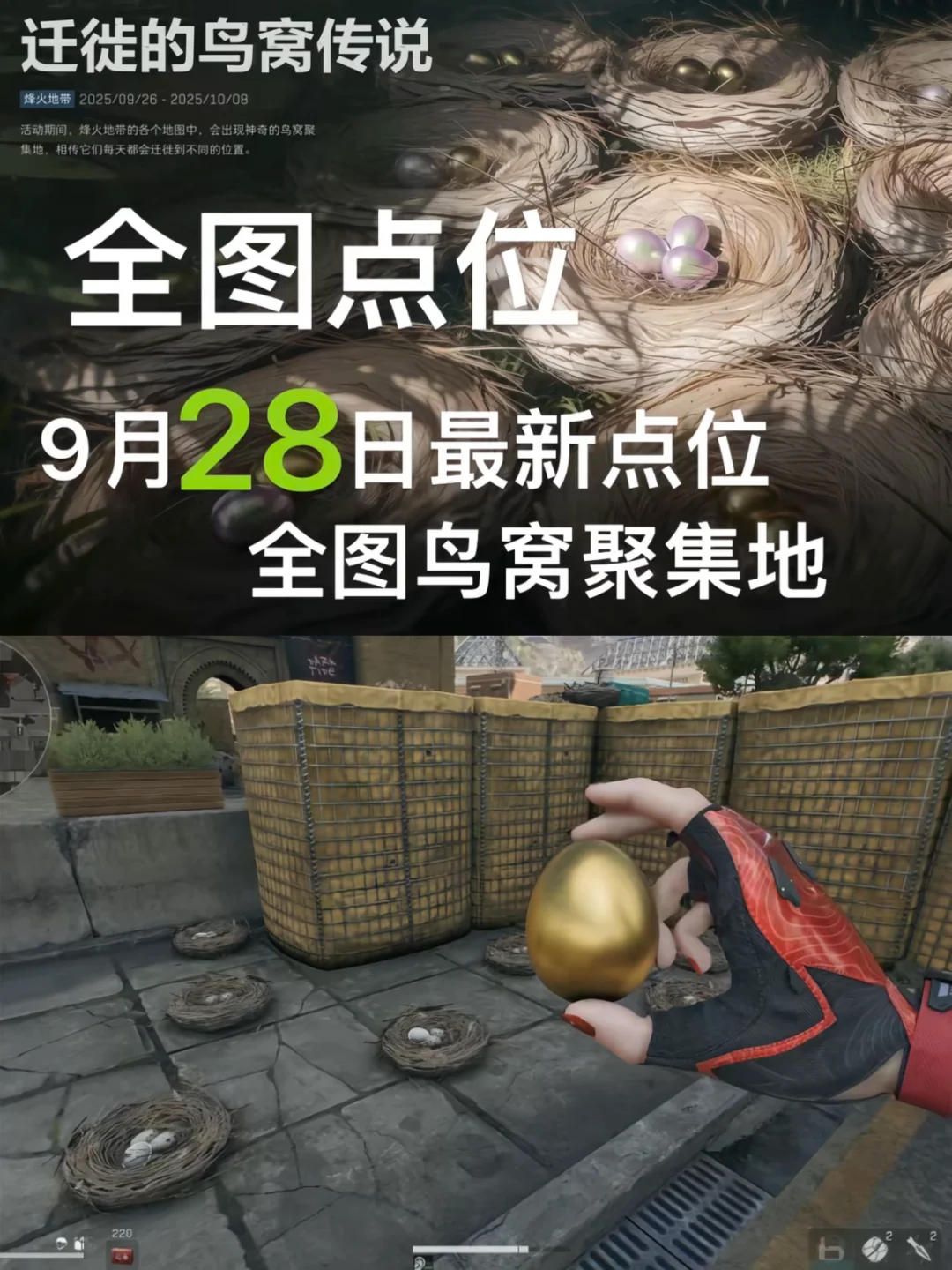 盘点三角洲9月28日全地图，鸟窝聚集地最新点