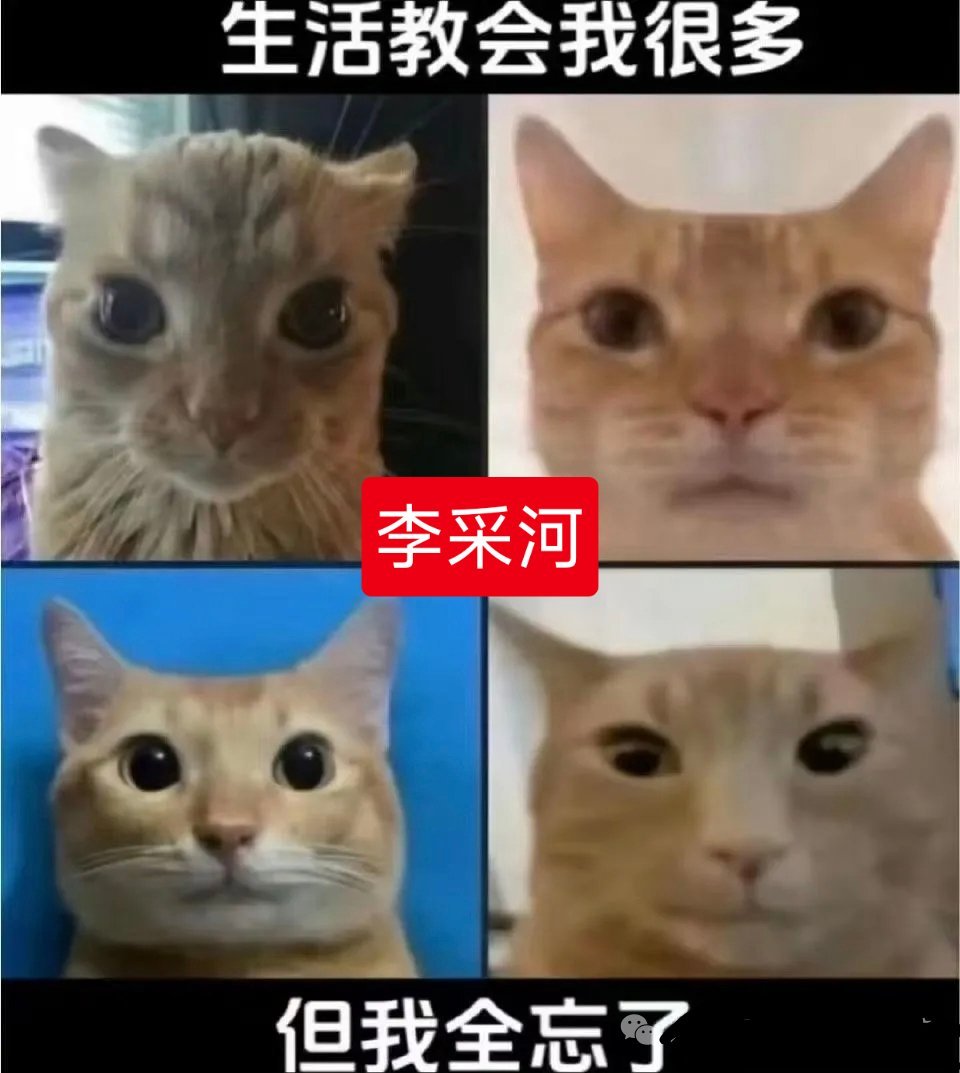 诶卧槽 终于看到这俩人上垒 娘嘞这个大变态上完采河就让人家干活啊 这还是人能干出
