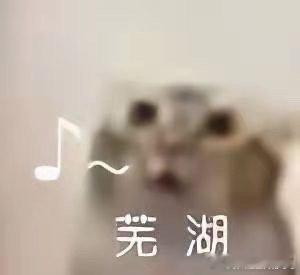 吃枸杞的好处被严重低估了很多人一次性大把吃枸杞，其实少量长期坚持才最合适，细水长