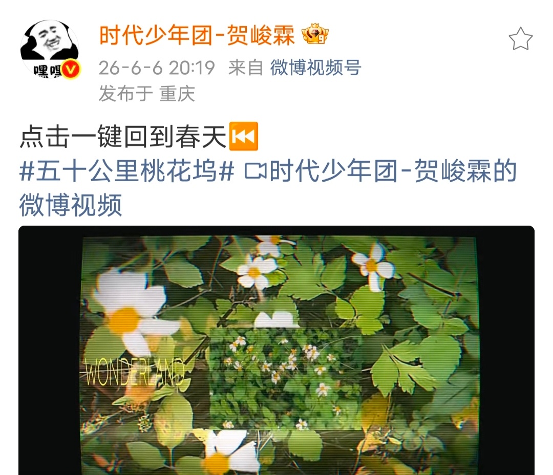 一个月六条vlog 喜欢贺峻霖就是这么幸福🥰贺峻霖晒毕业vlog沈月陈鑫海贺峻