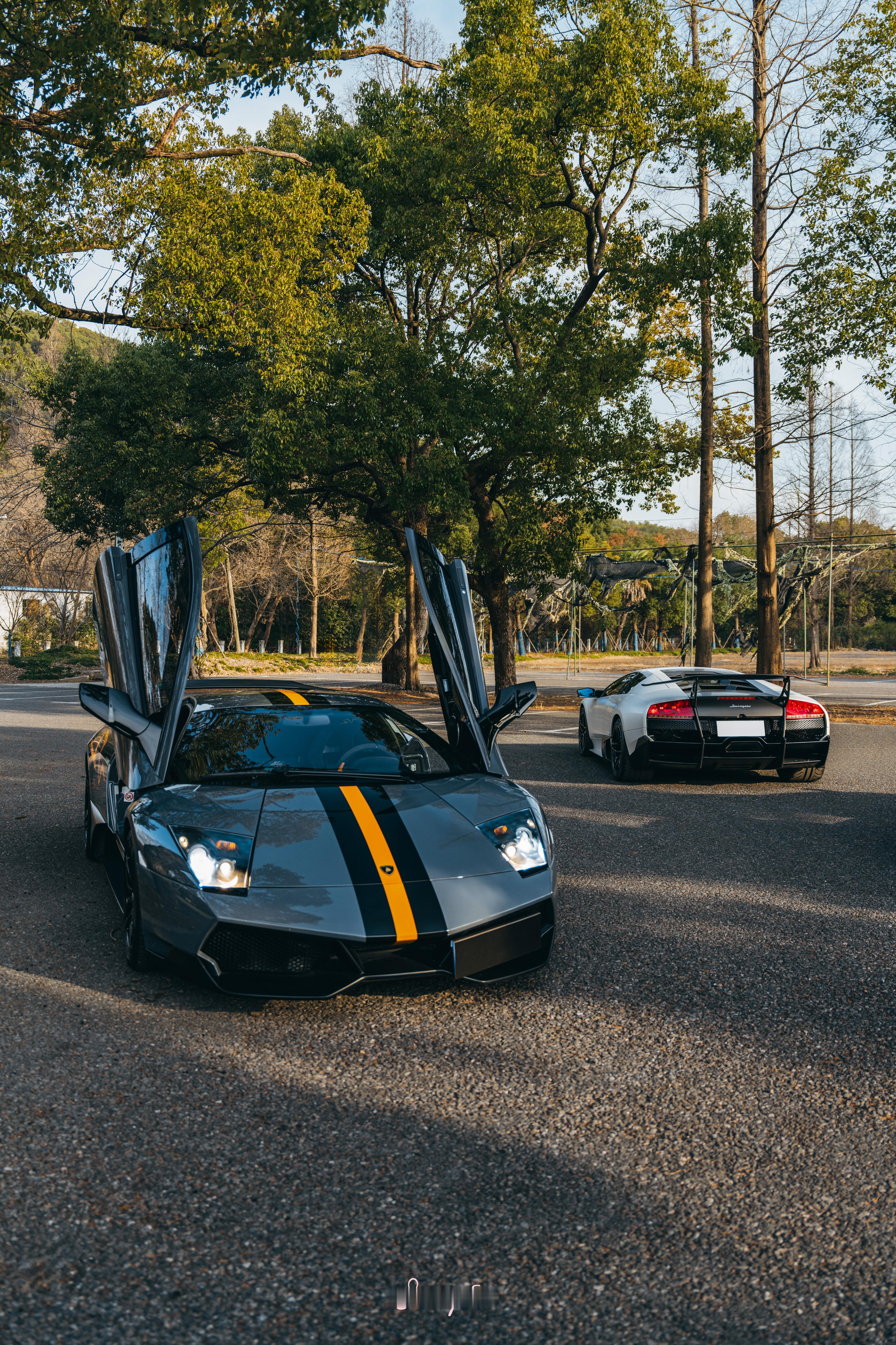 Sergio的摄影库  Lamborghini Murcielago SV X 