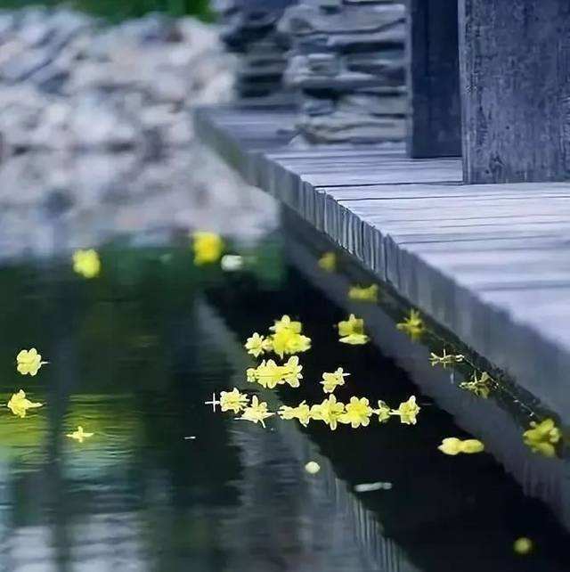 坐久桂花落，襟袖觉香浓。——葛胜仲​​​