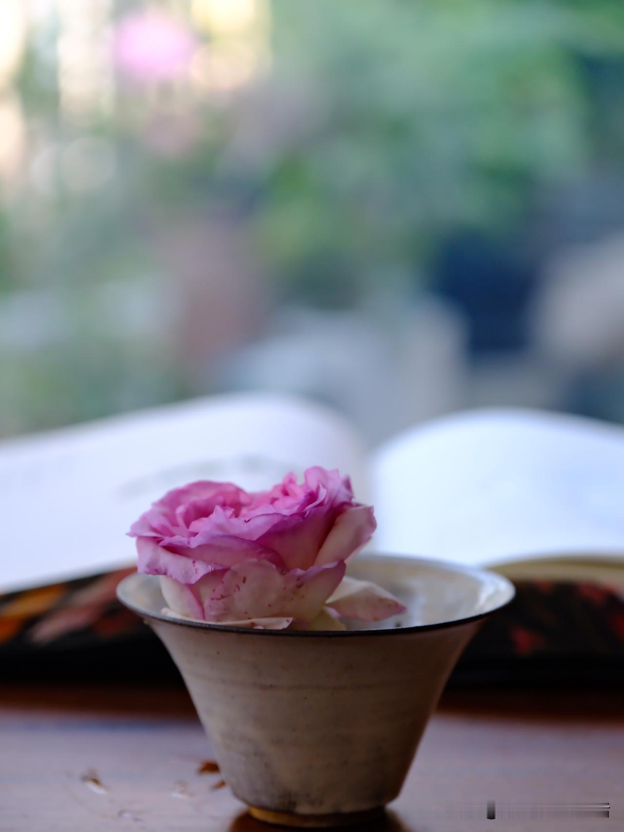 最近看到几个冷号，
频繁将我的文字图片借去，
极其简单的拆解拼装，
然后就凭借咱