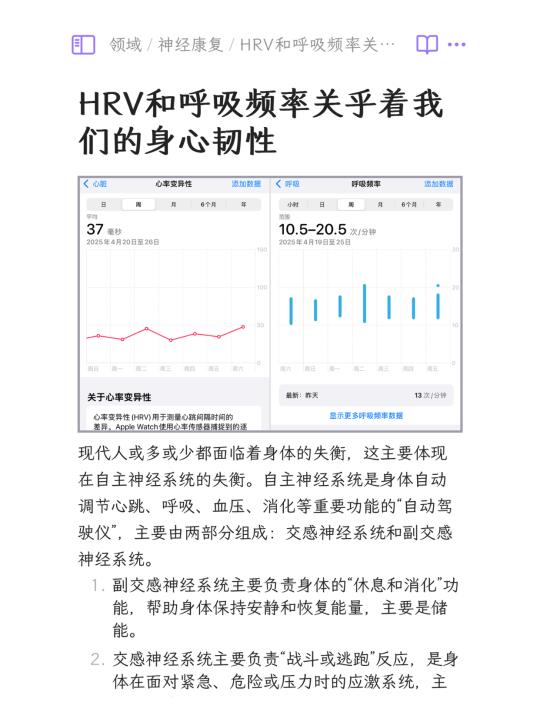HRV和呼吸频率关乎着我们的身心韧性