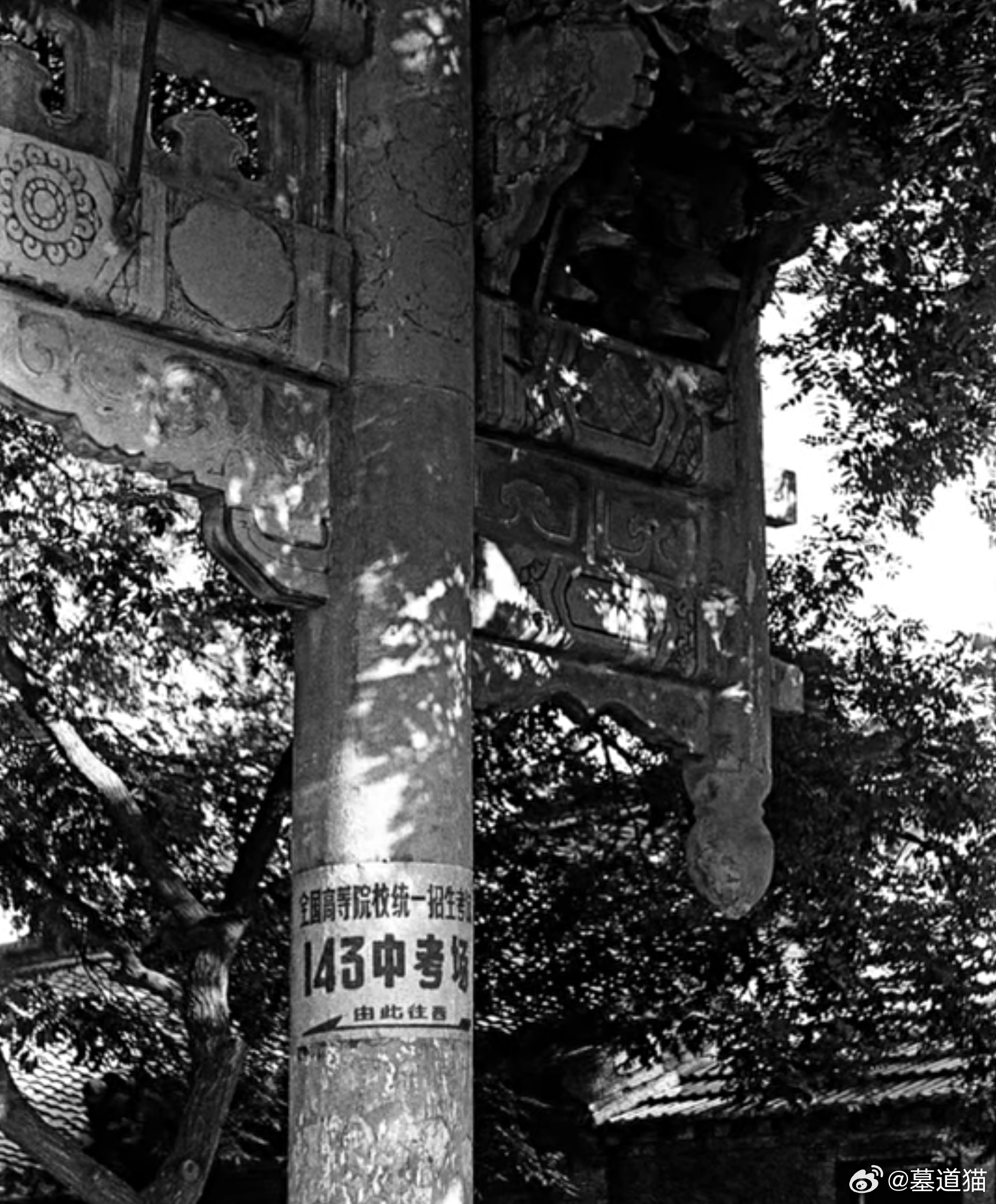 40年前左右参加高考的年轻人，任曙林/摄 