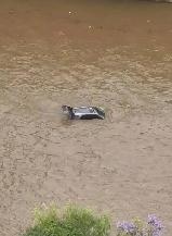 悲剧！
云南一小车坠塘5人遇难，
违规超车引发致命事故
 
近日，云南保山腾冲市