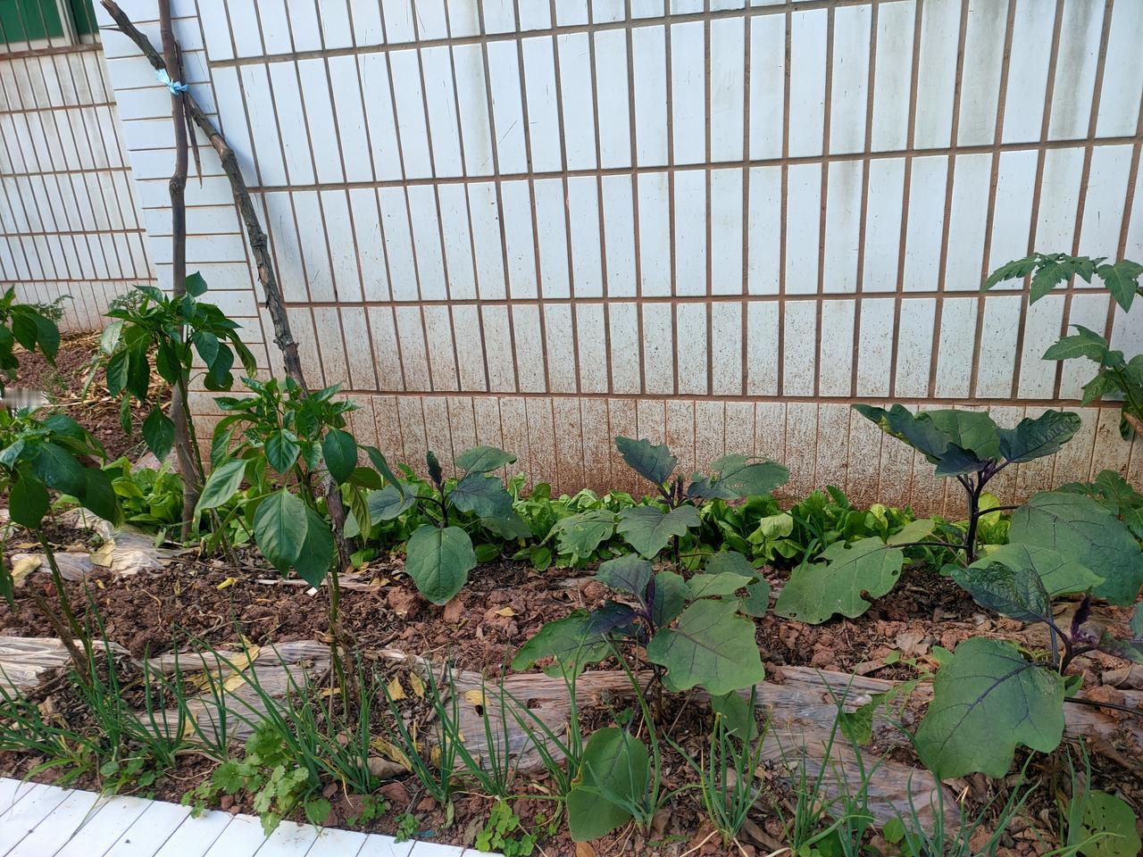 五一劳动节，已经步入尾声。
期间，或许有的朋友趁着假期出去游览了祖国的名胜古迹、
