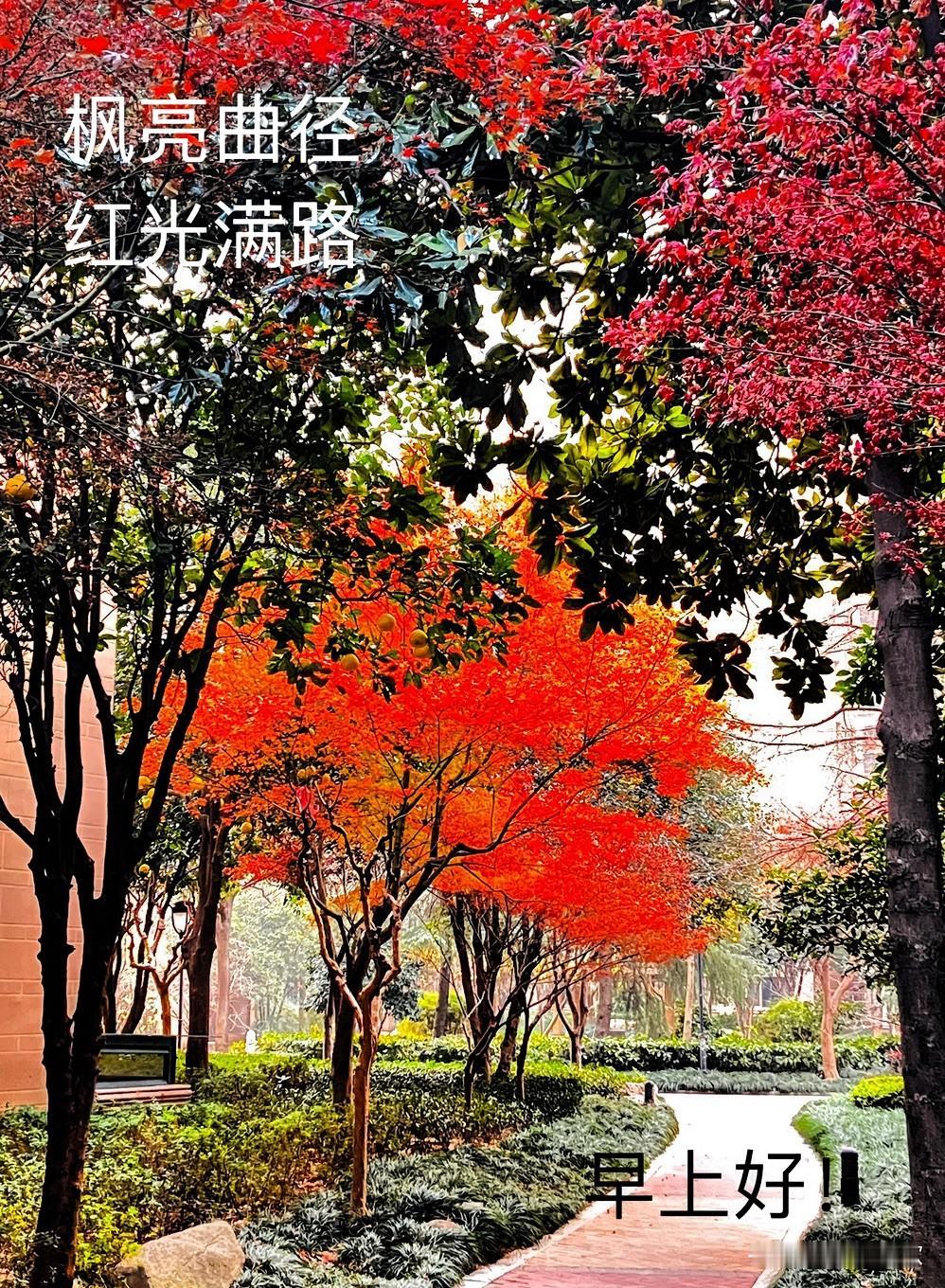 分享一张最近随手拍的照片